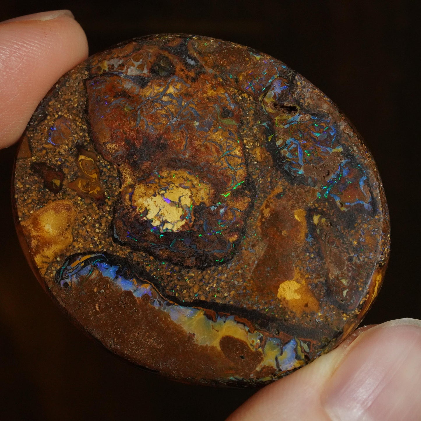 Boulder Opal Cut Stone