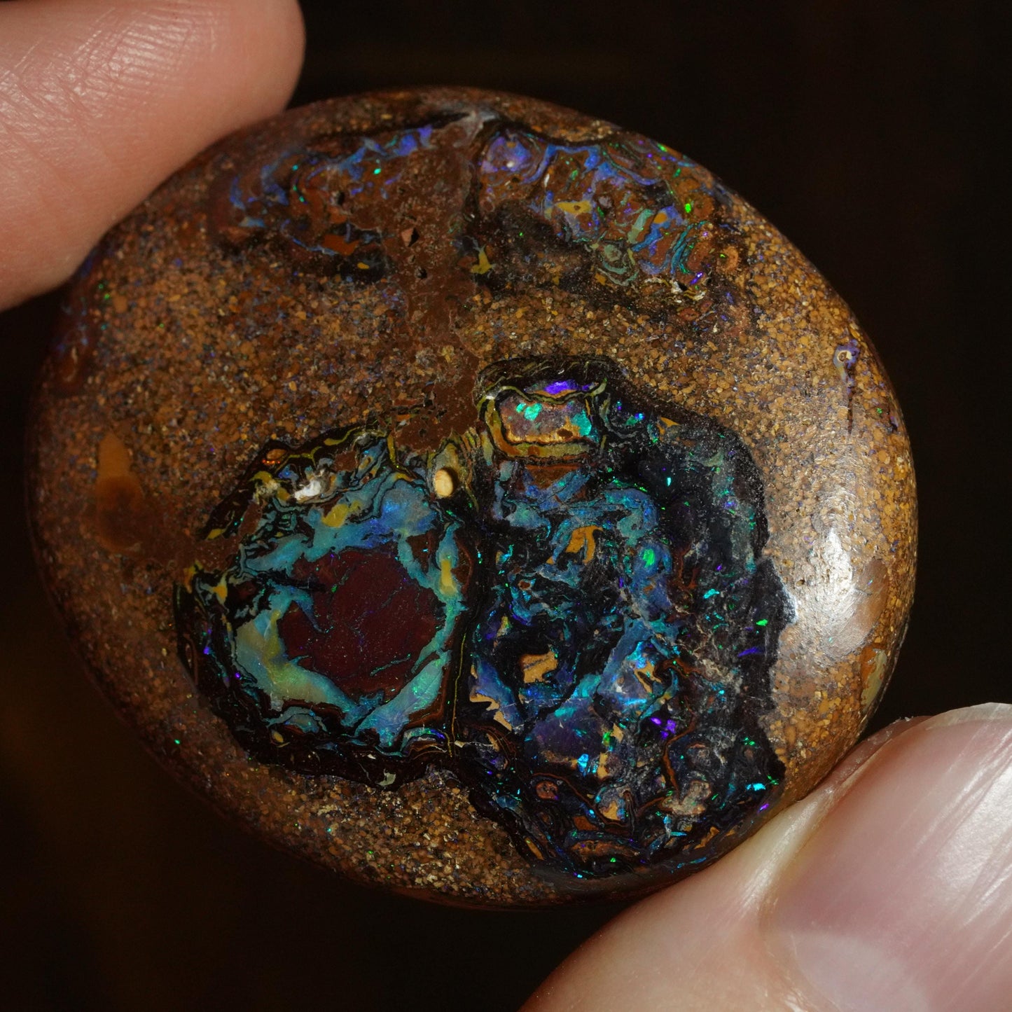 Boulder Opal Cut Stone