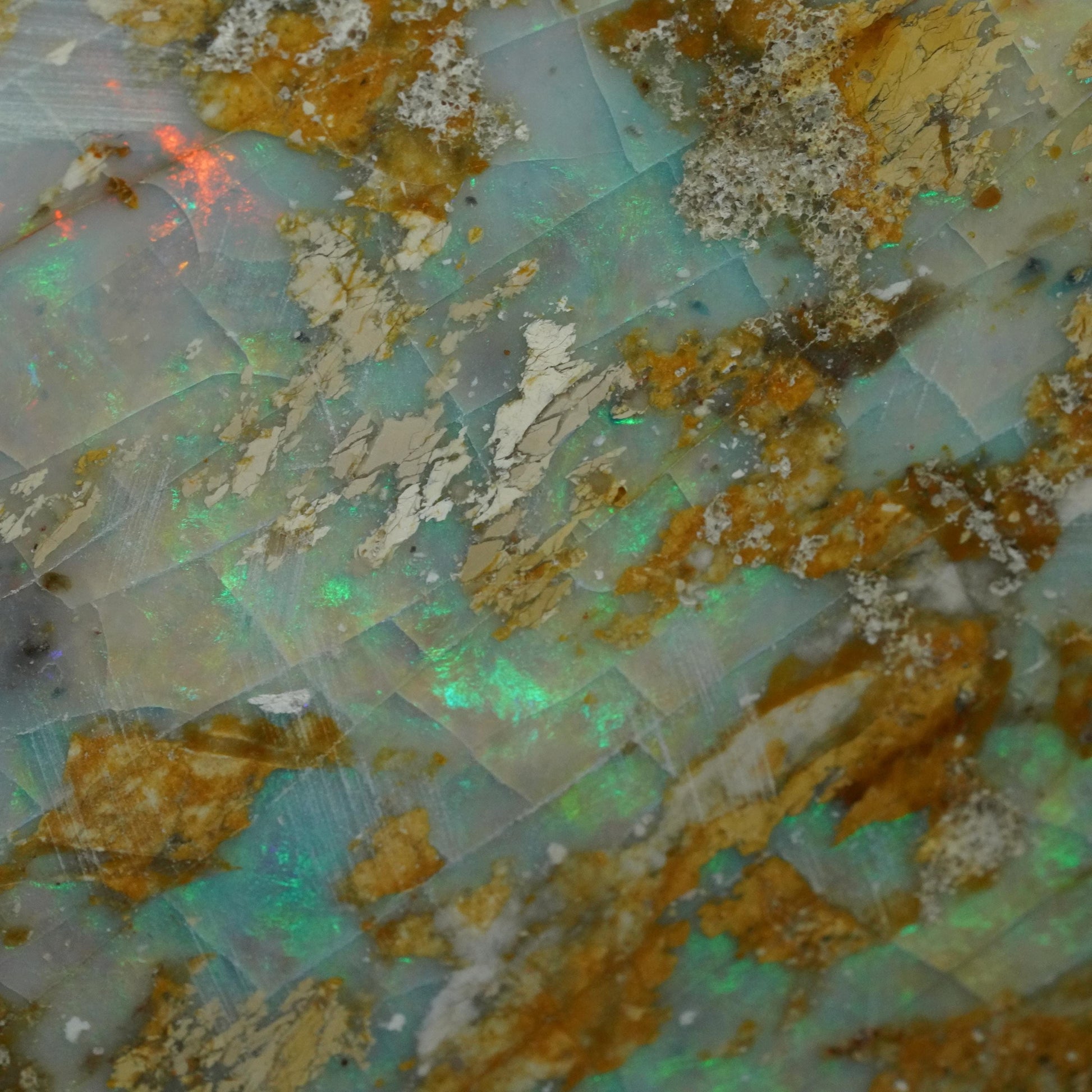 Opal Specimen