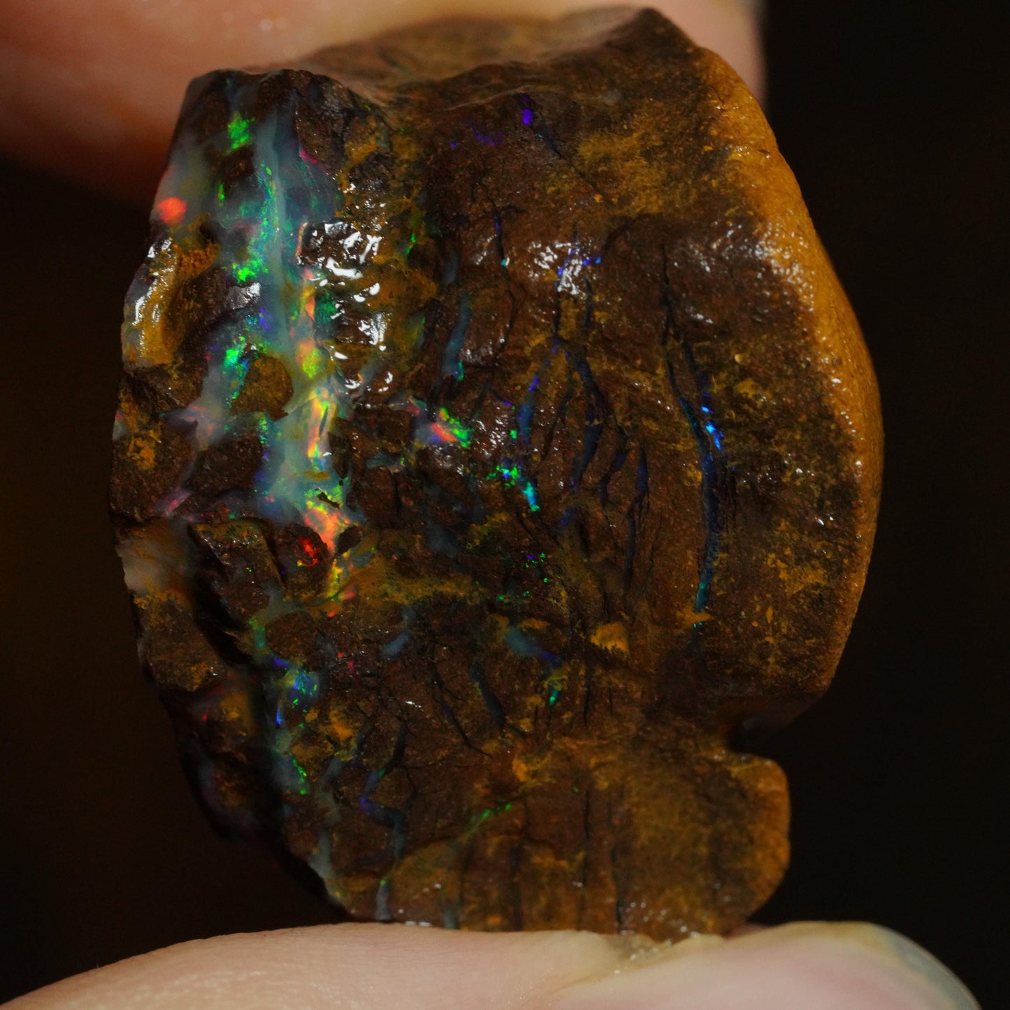 Rough Boulder Opal