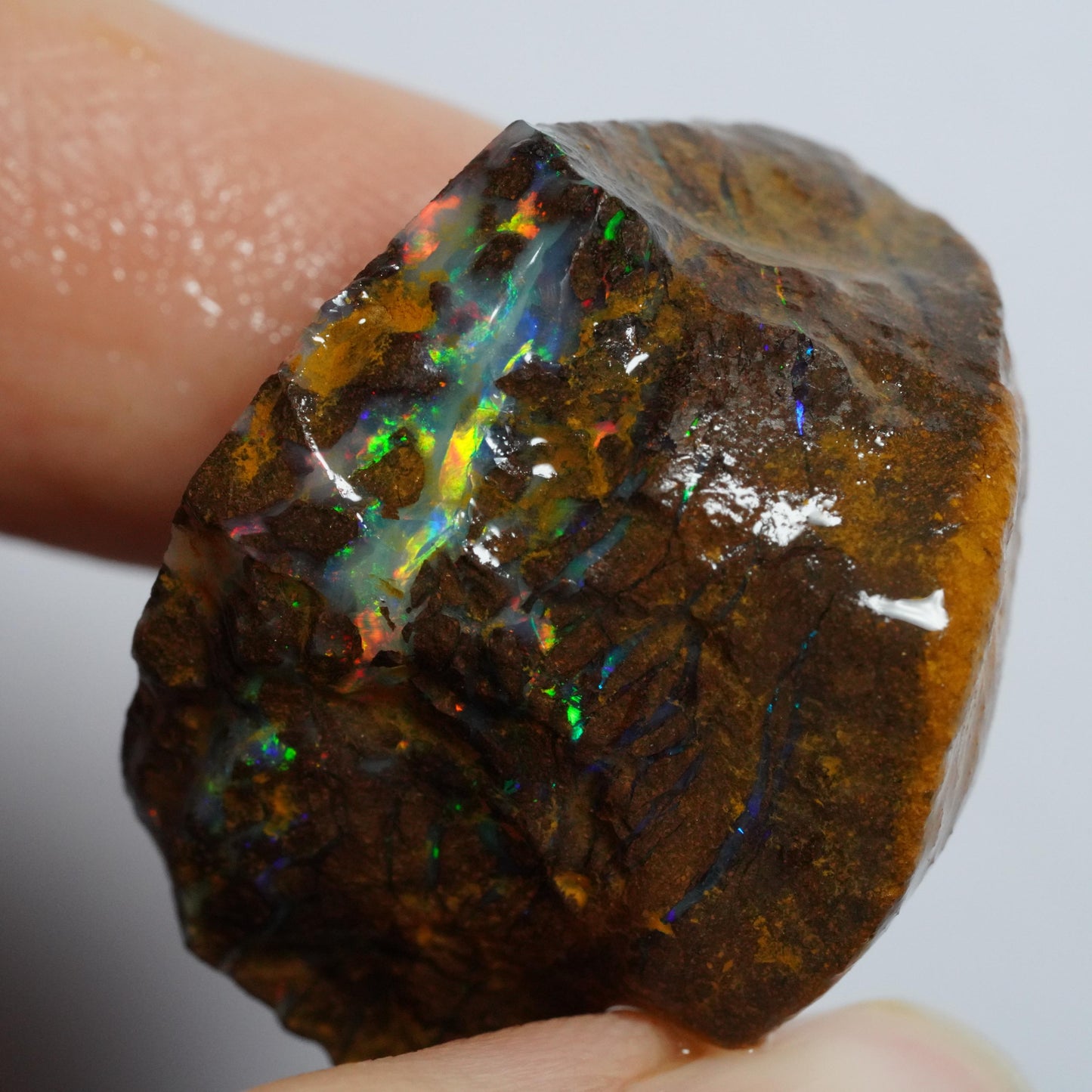 Rough Boulder Opal