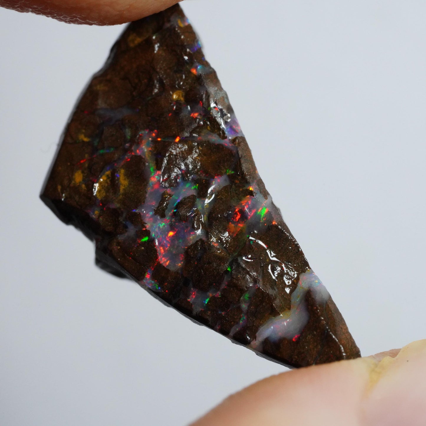 Rough Boulder Opal