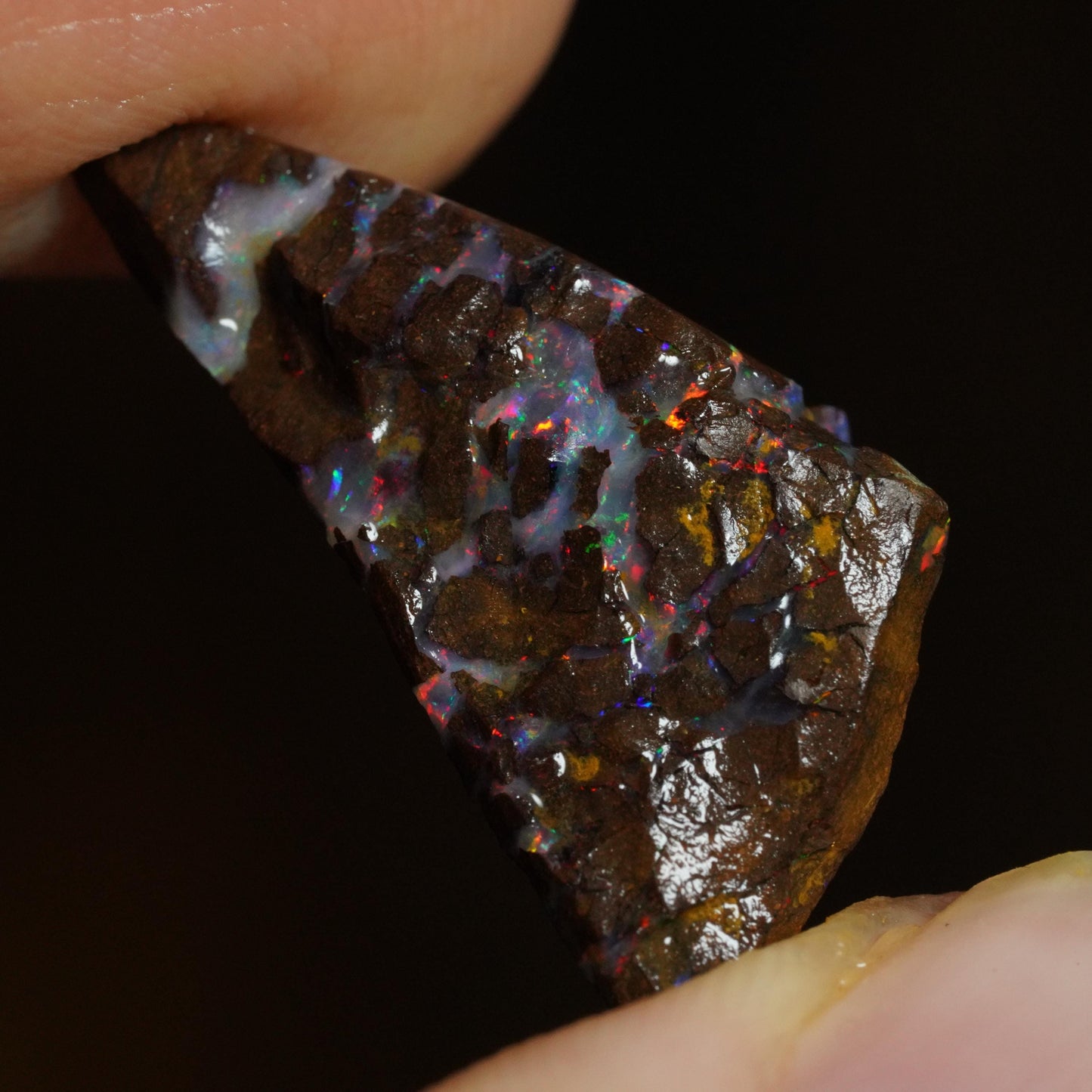 Rough Boulder Opal