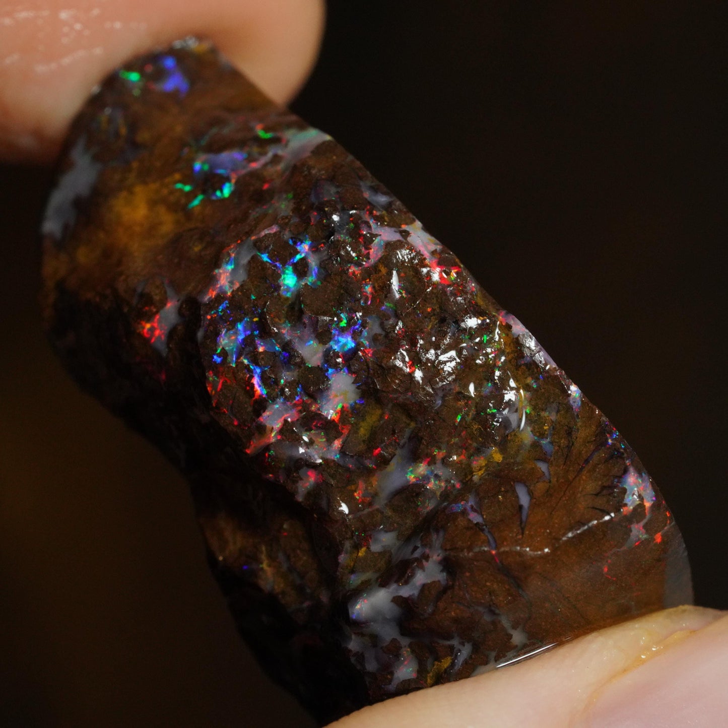 Rough Boulder Opal