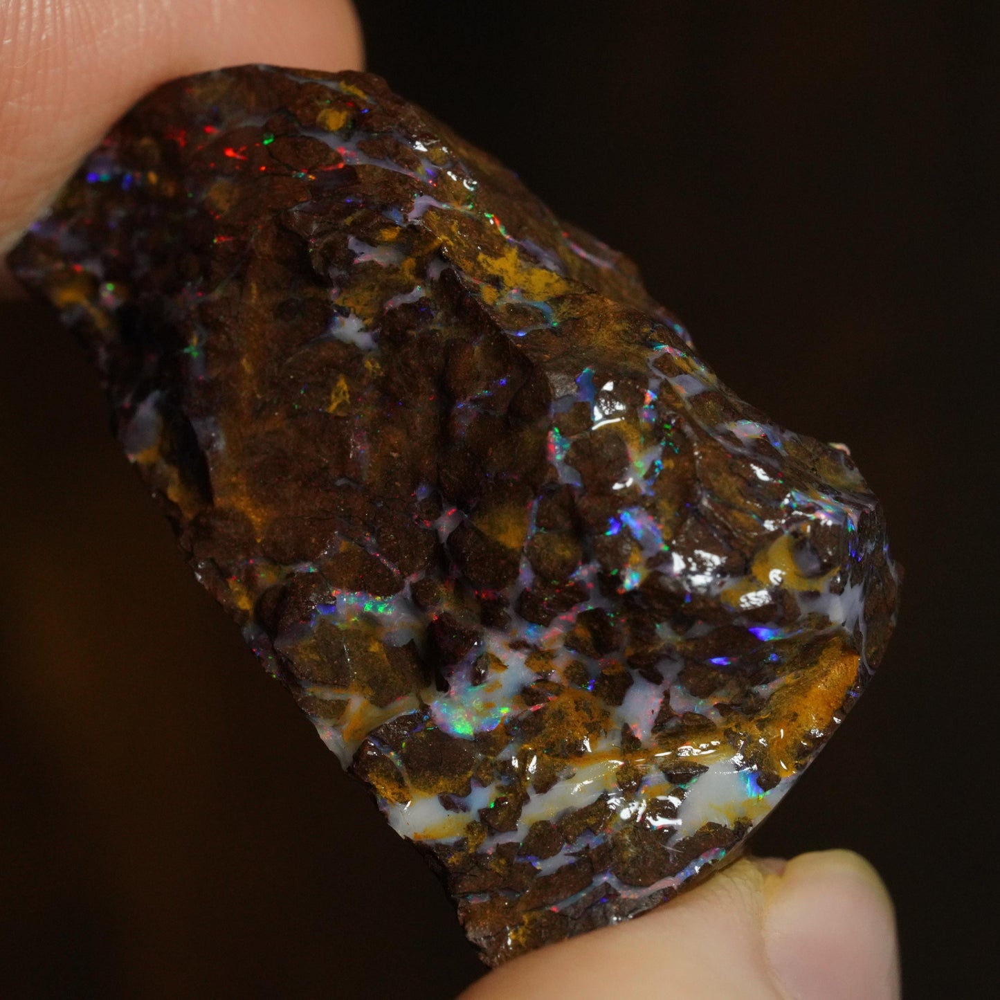 Rough Boulder Opal