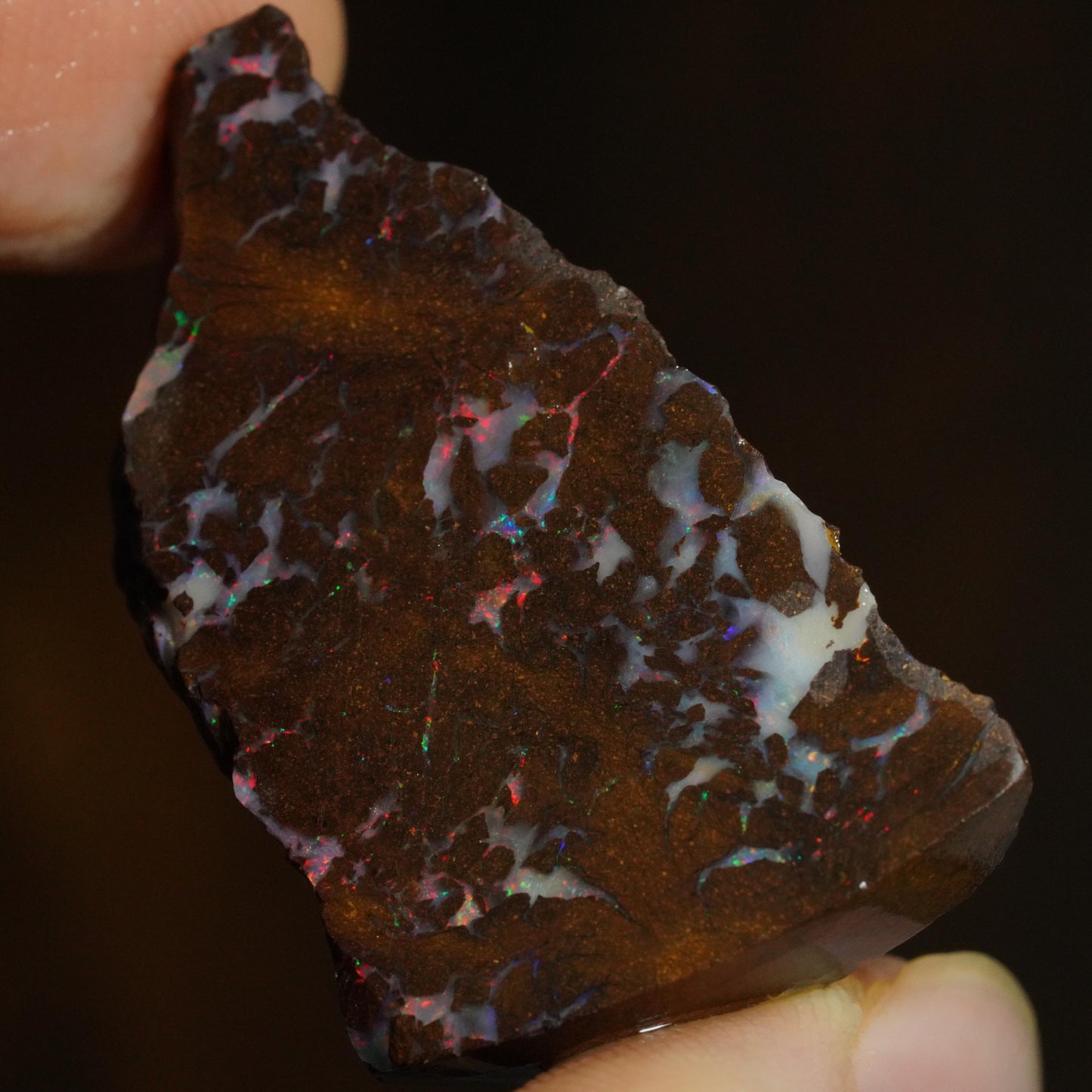 Rough Boulder Opal