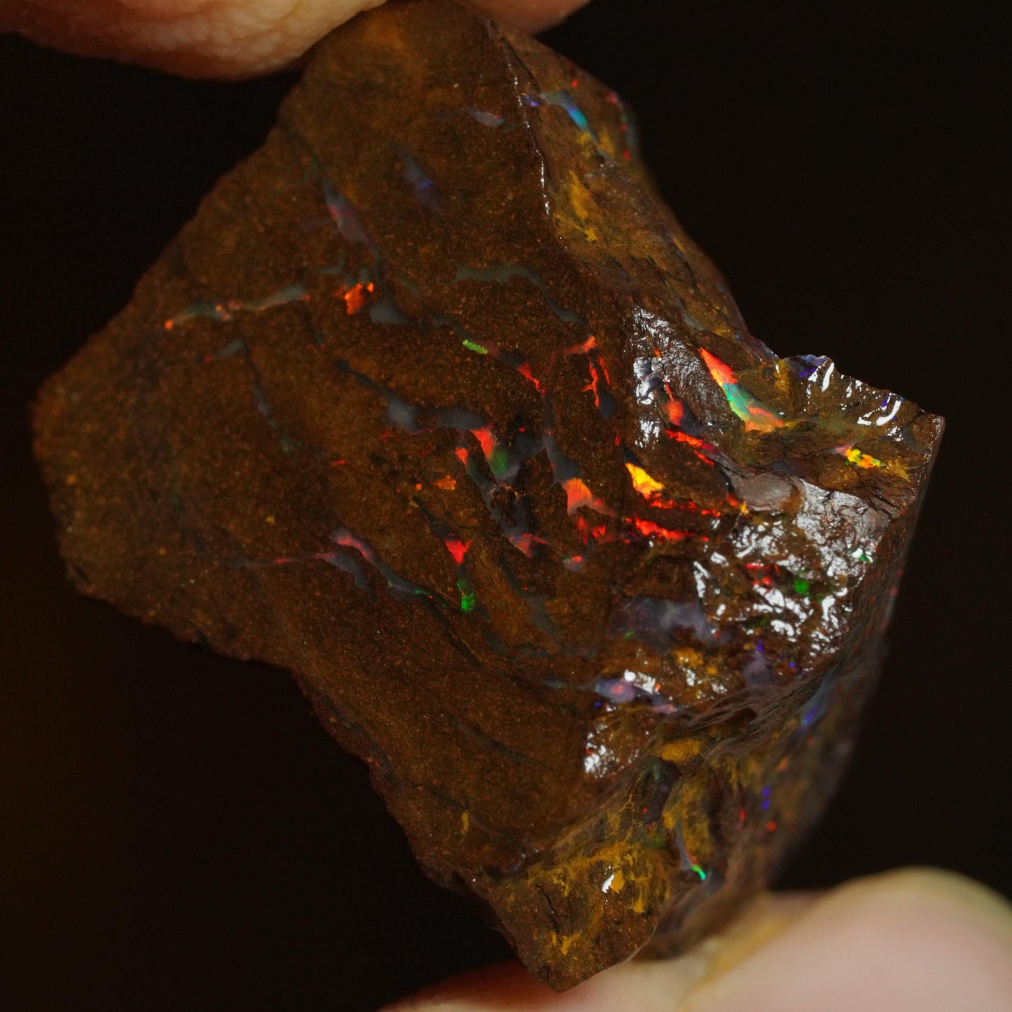 Rough Boulder Opal
