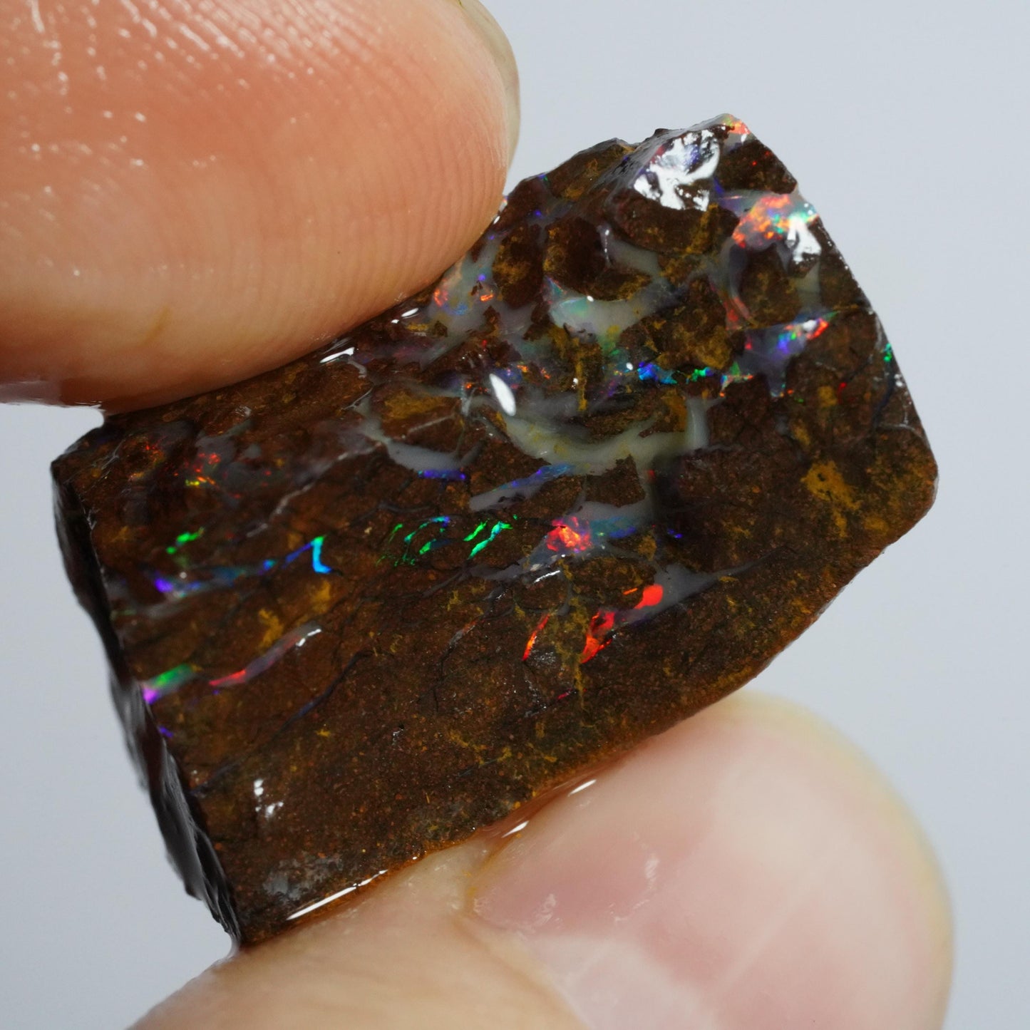Rough Boulder Opal