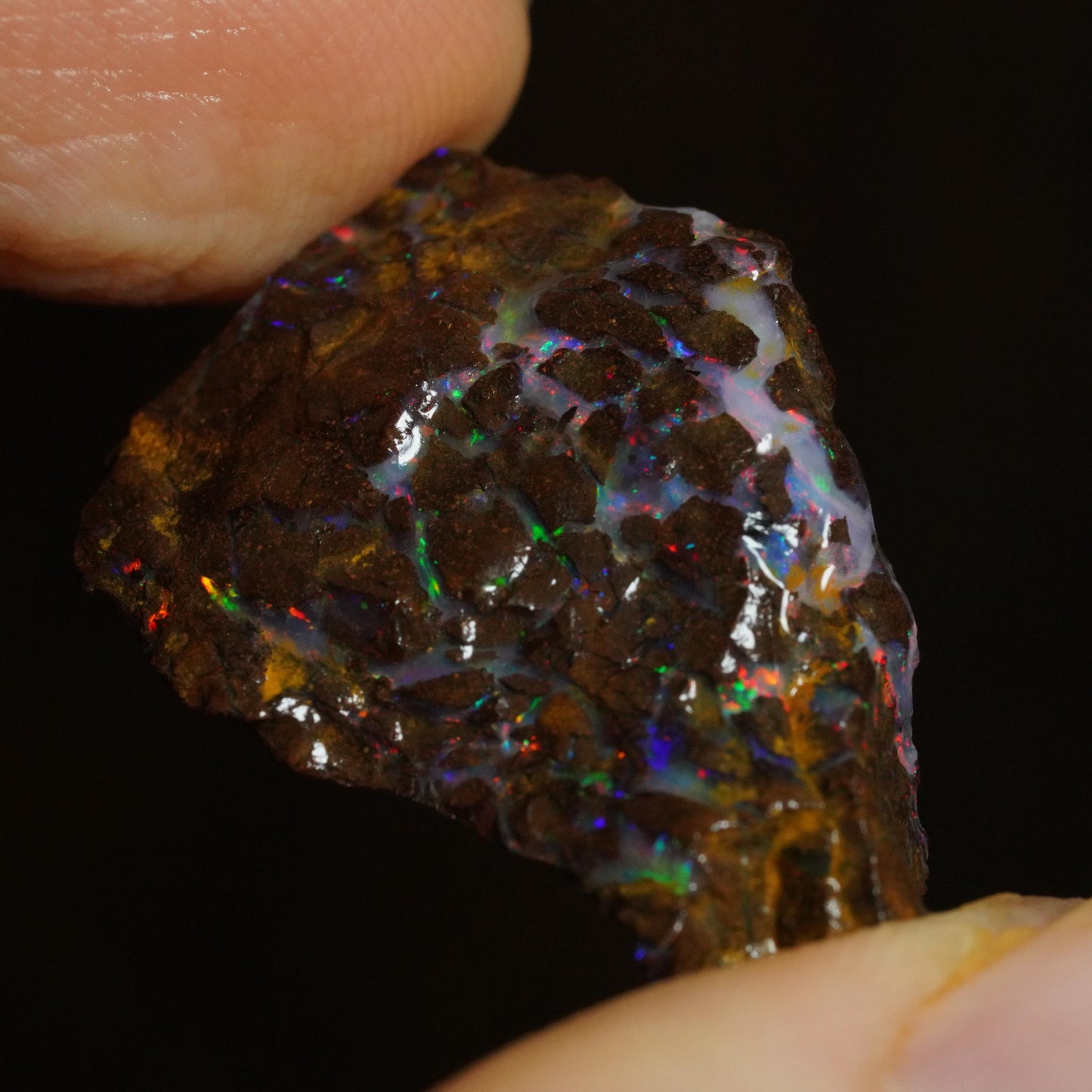 Rough Boulder Opal