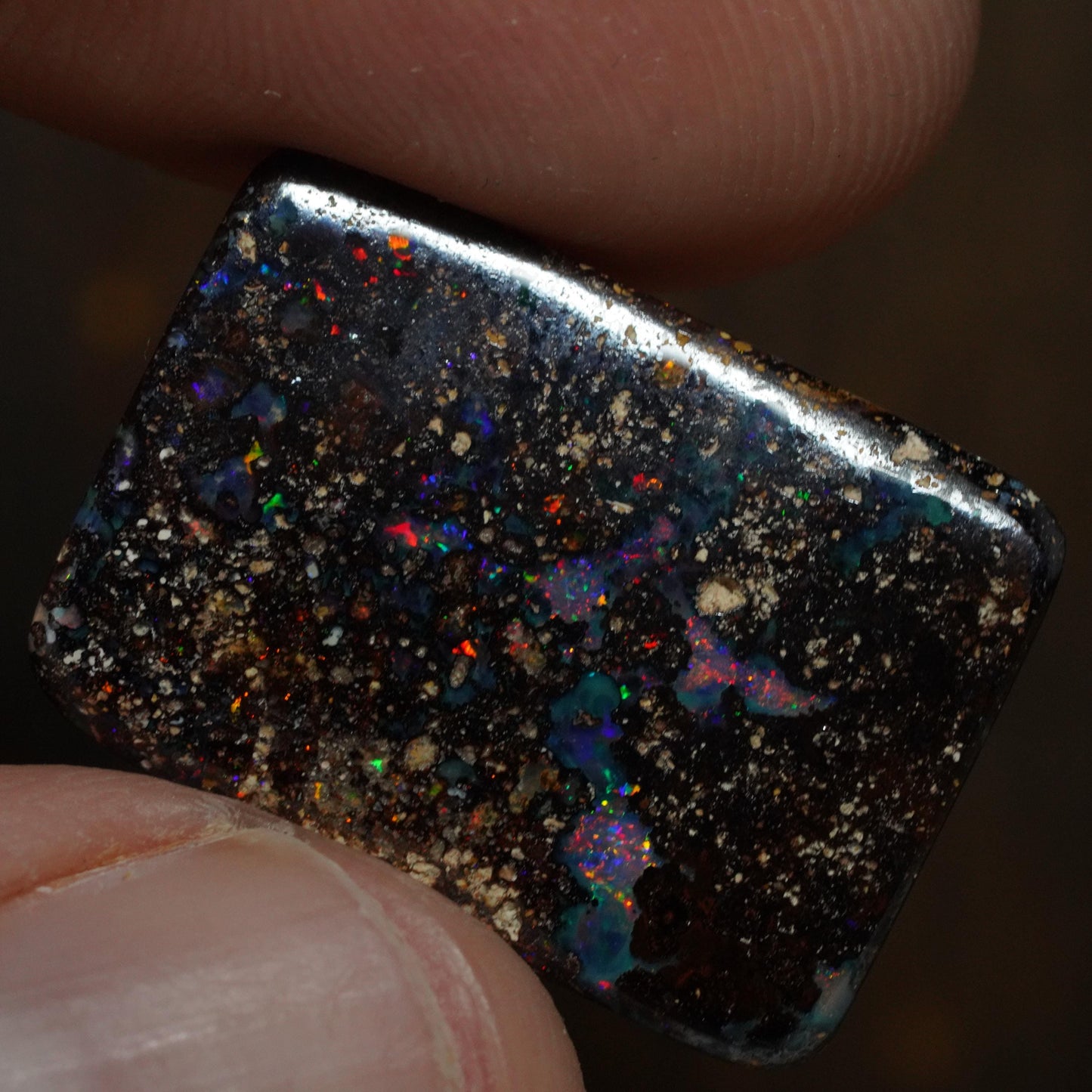 Boulder Opal Cut Stone