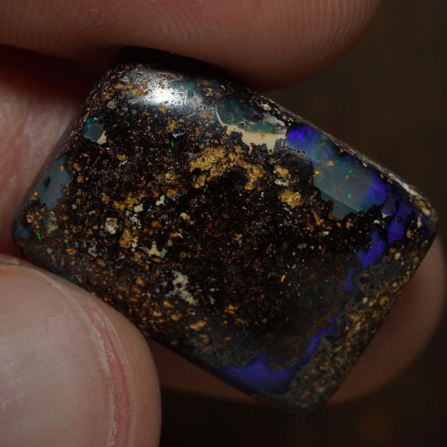 Boulder Opal Cut Stone