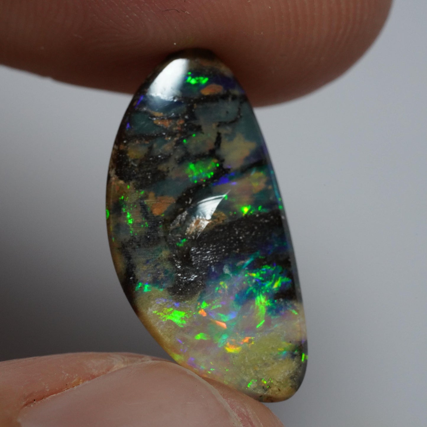 Boulder Opal Cut Stone