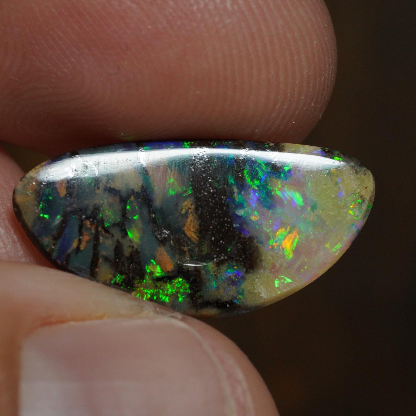 Boulder Opal Cut Stone