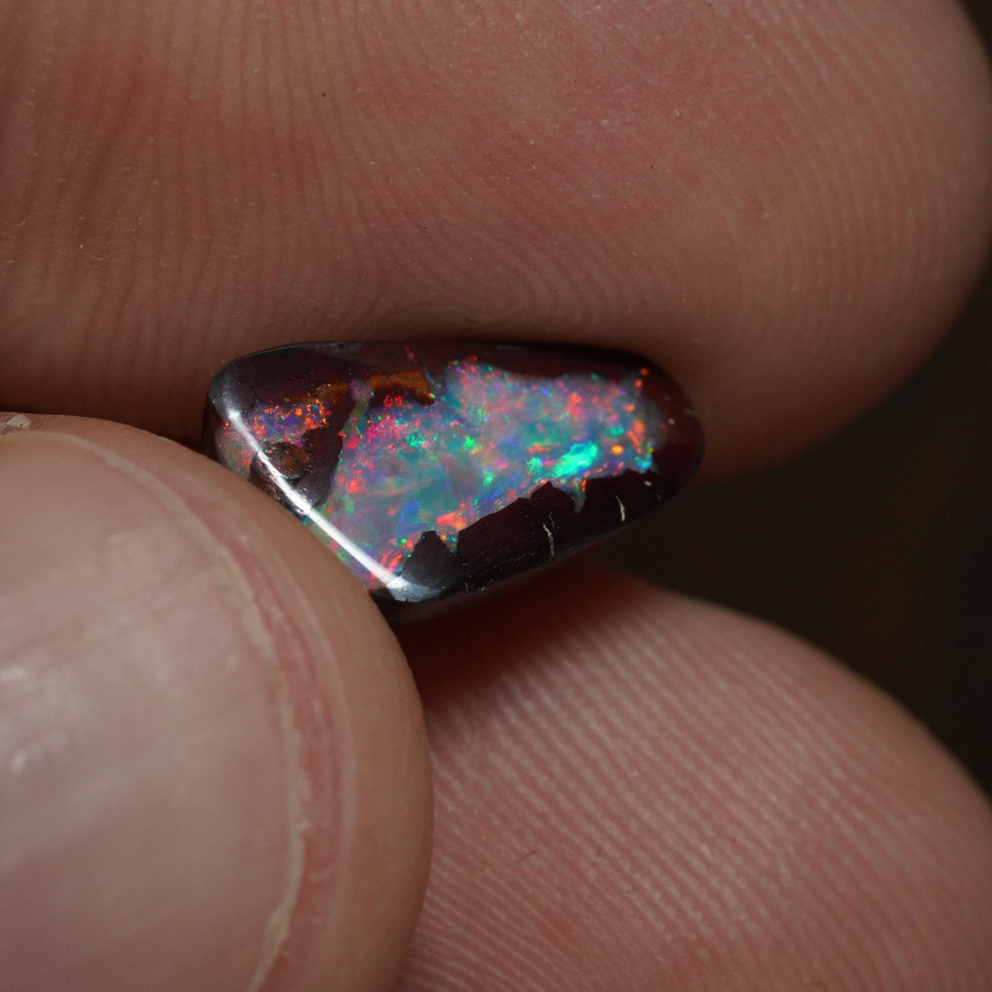 Boulder Opal Cut Stone