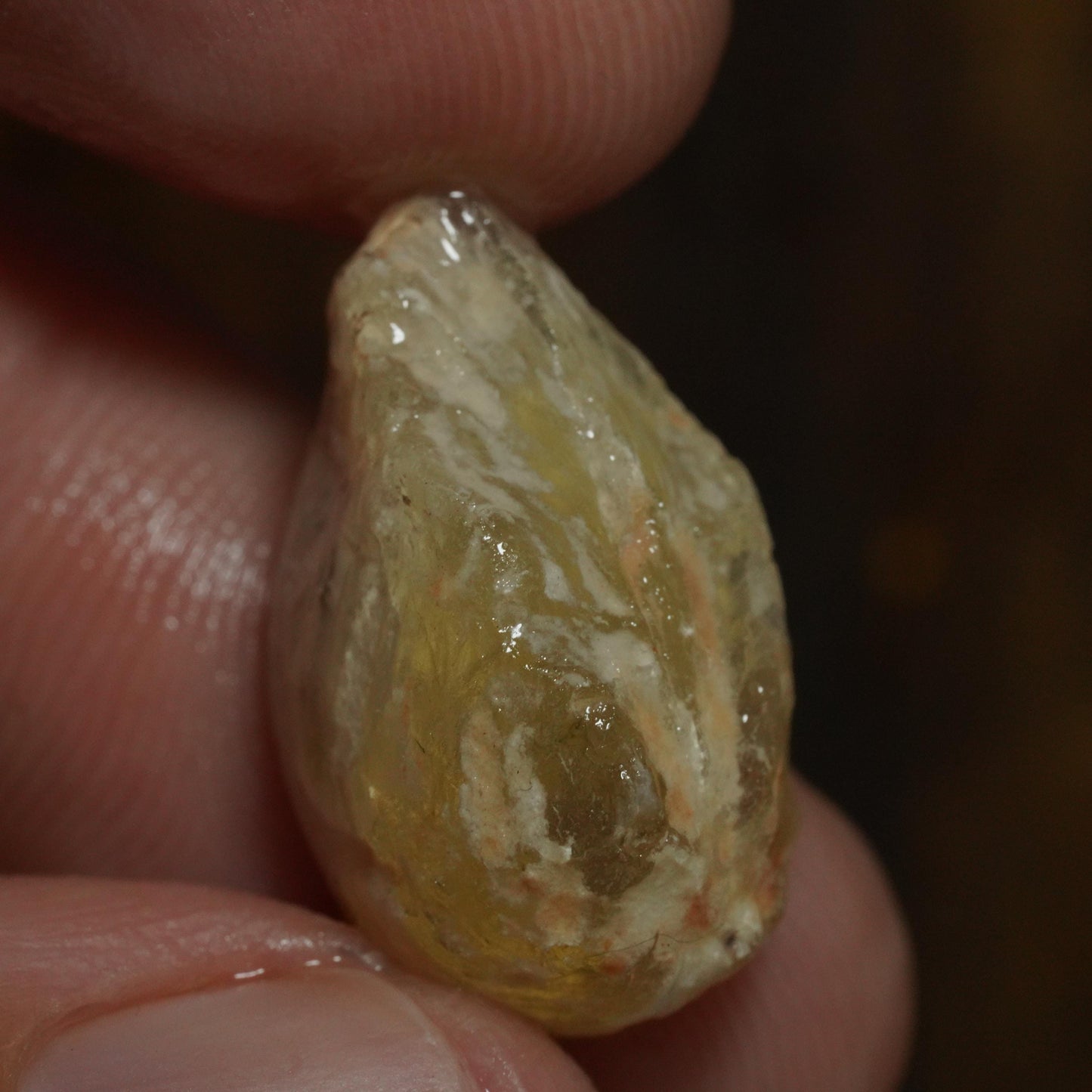 Opalised Fossil Mussel Shell