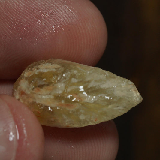 Opalised Fossil Mussel Shell