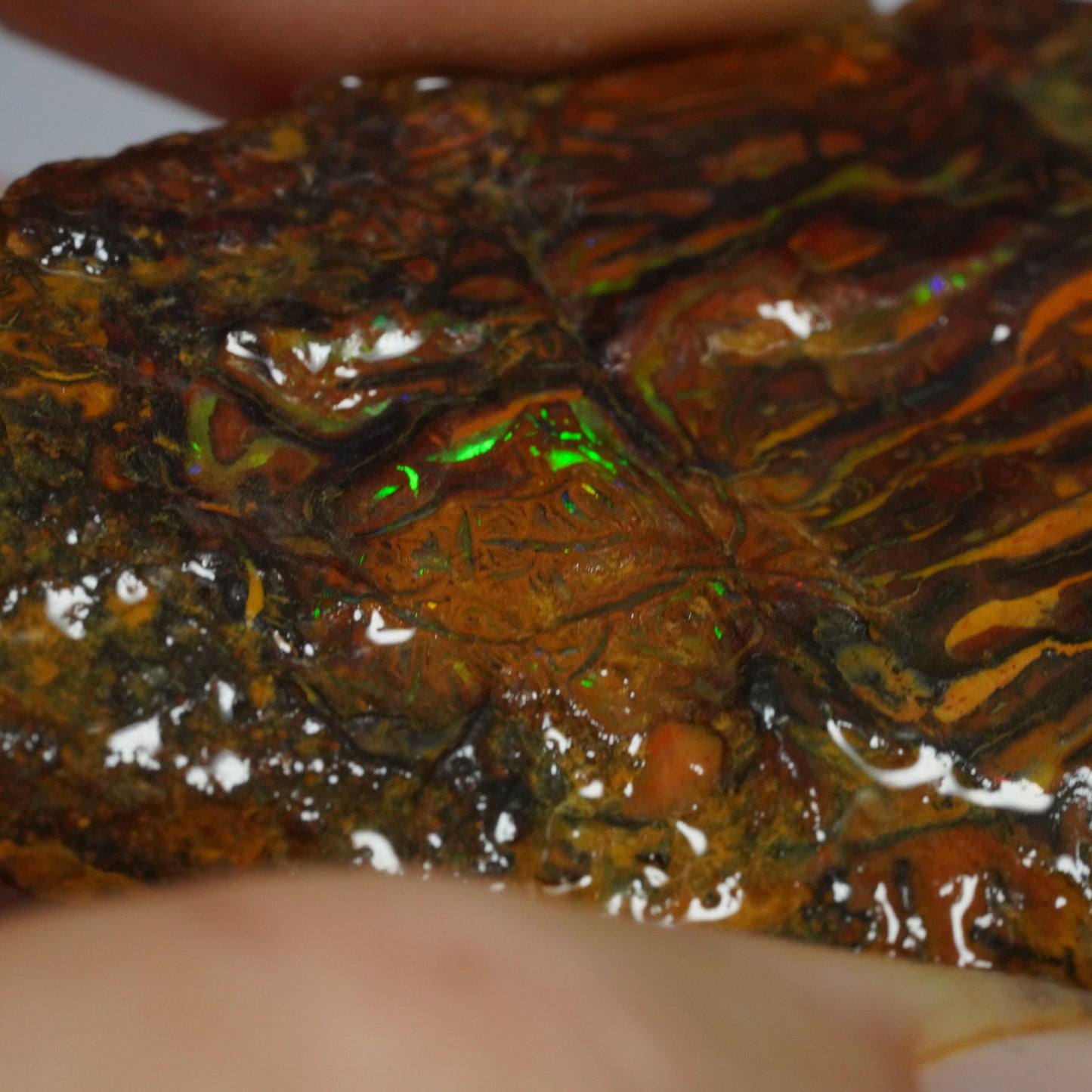 Rough Boulder Opal