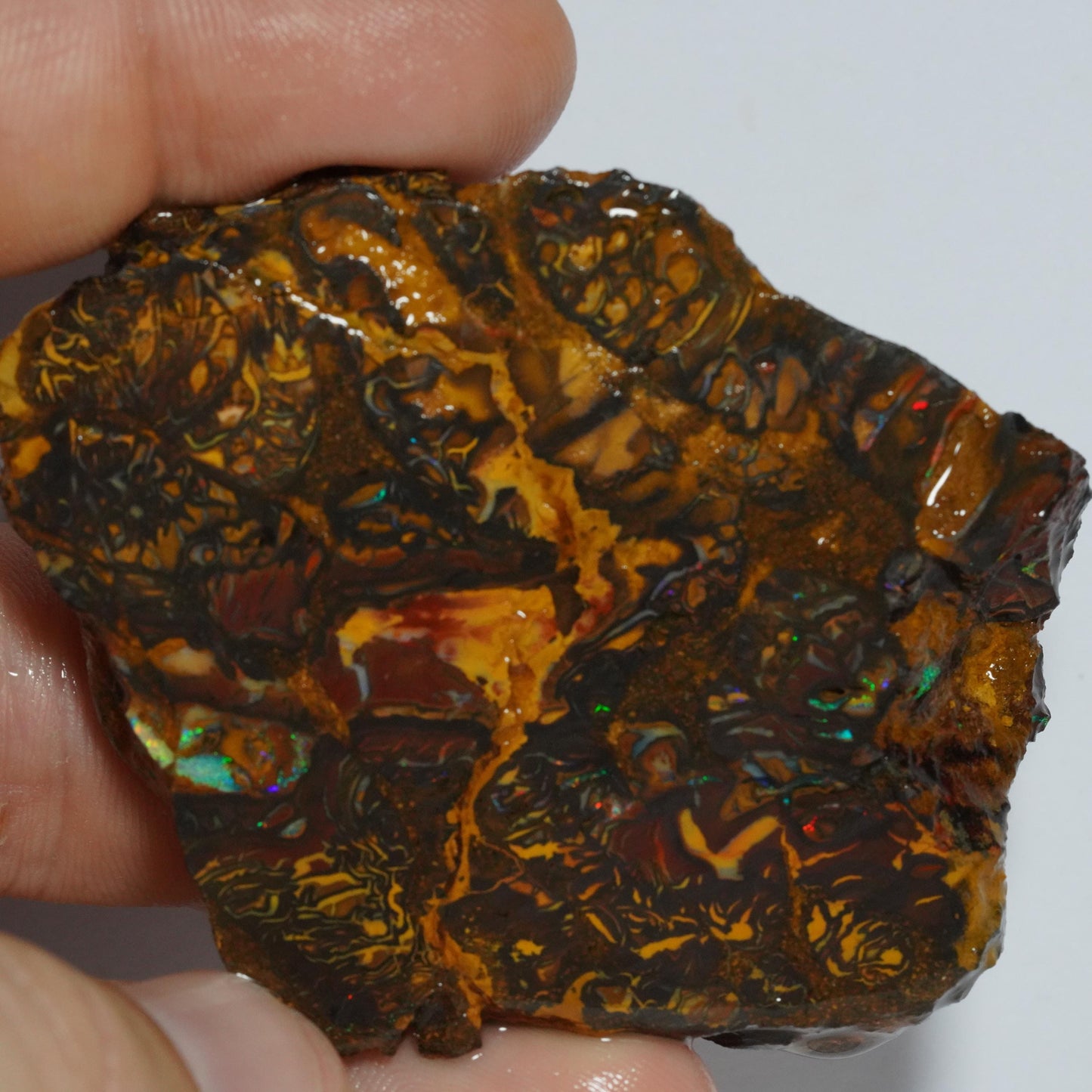 Rough Boulder Opal