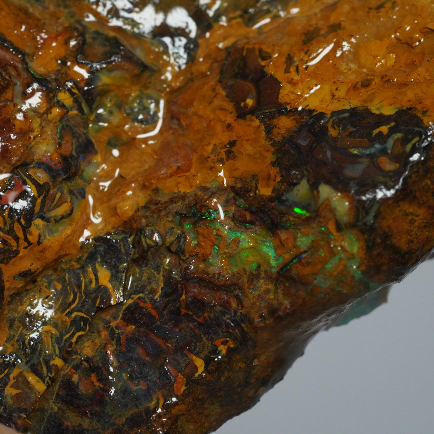 Rough Boulder Opal