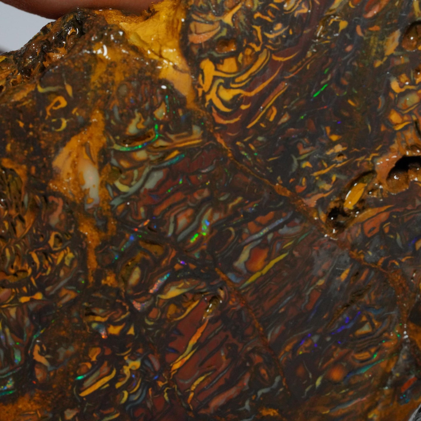 Rough Boulder Opal