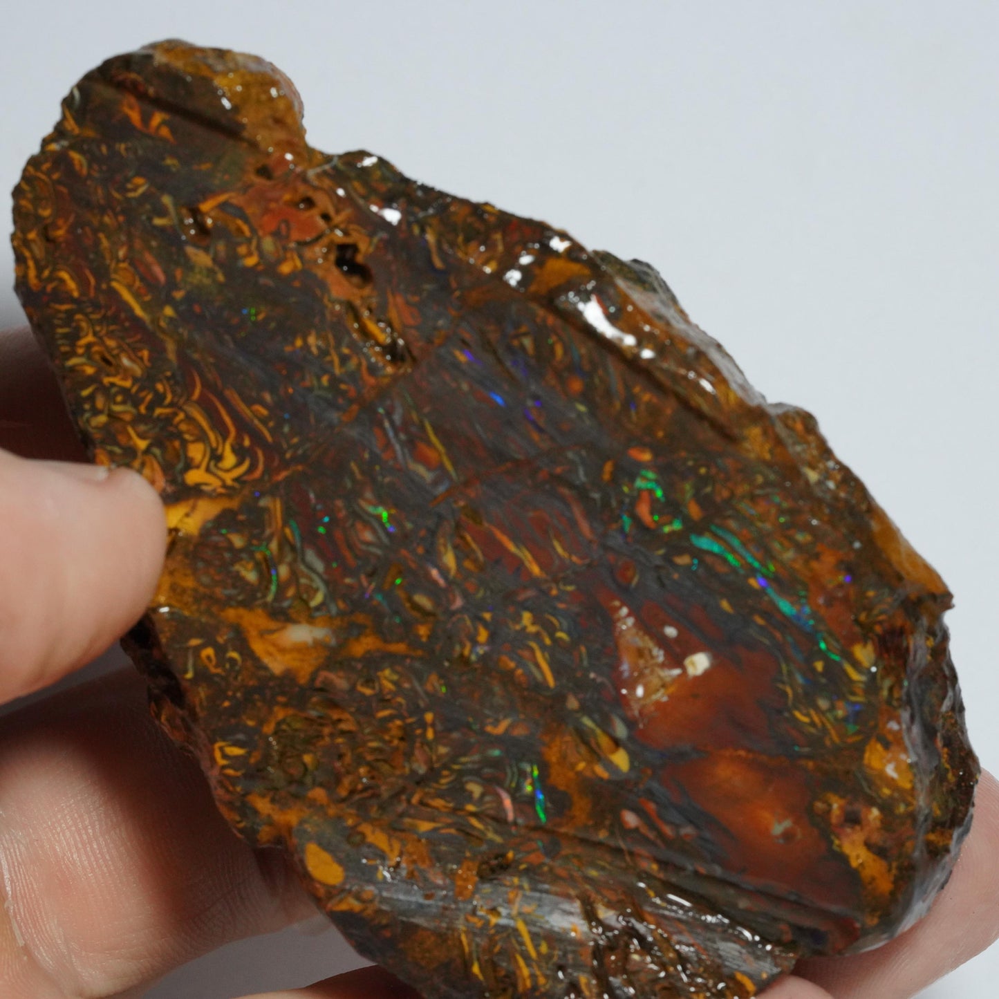 Rough Boulder Opal