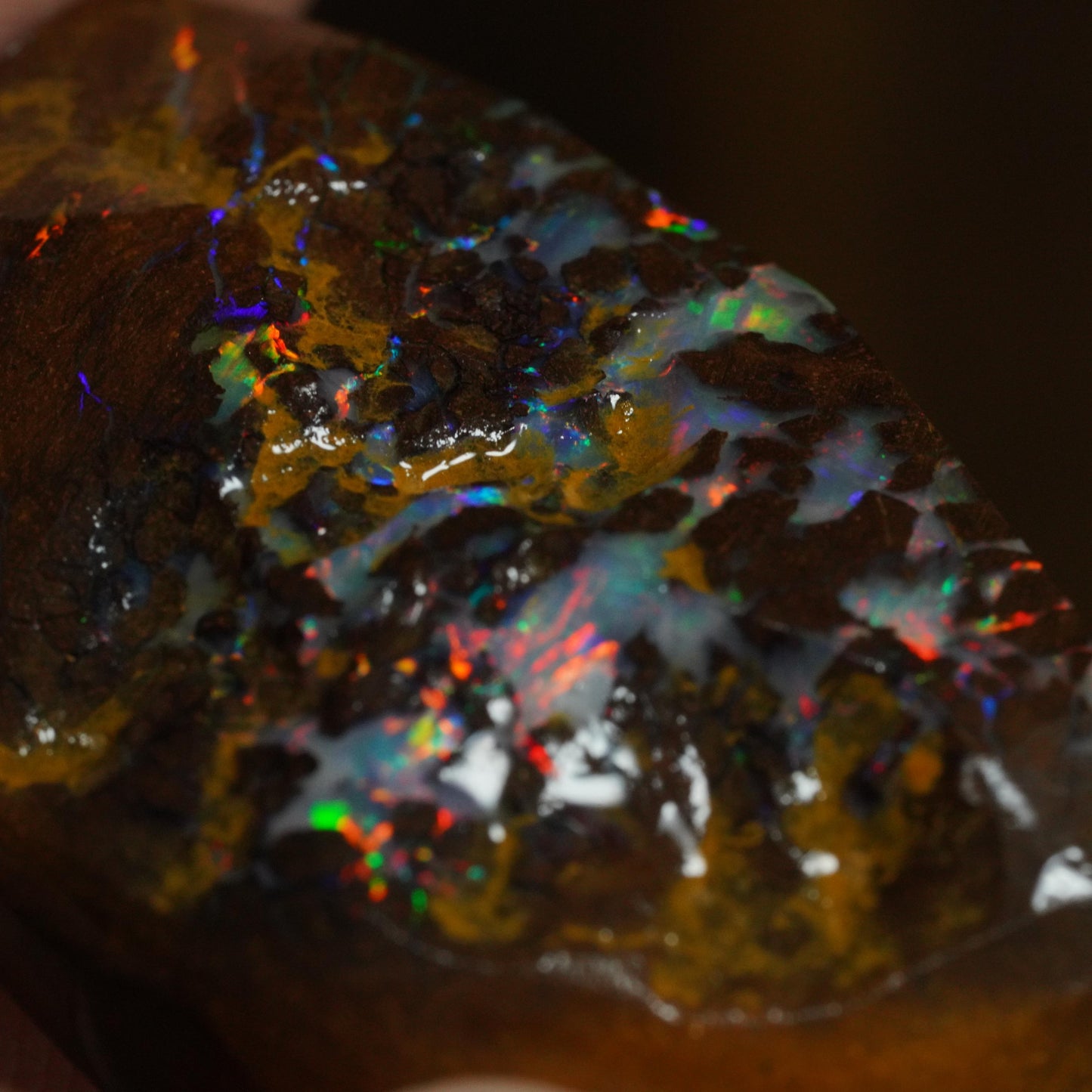 Boulder Opal Rub