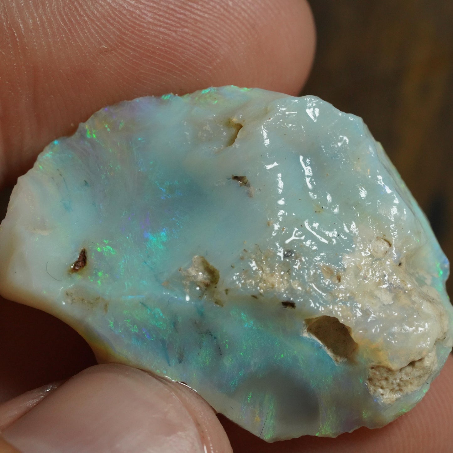 Australian Rough Opal