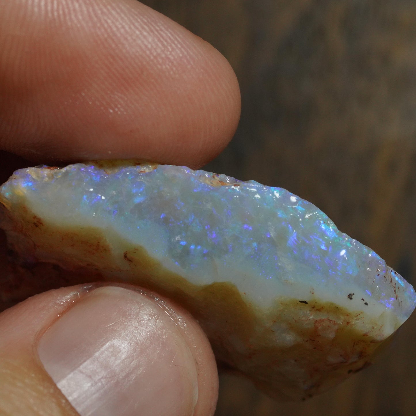 Australian Rough Opal