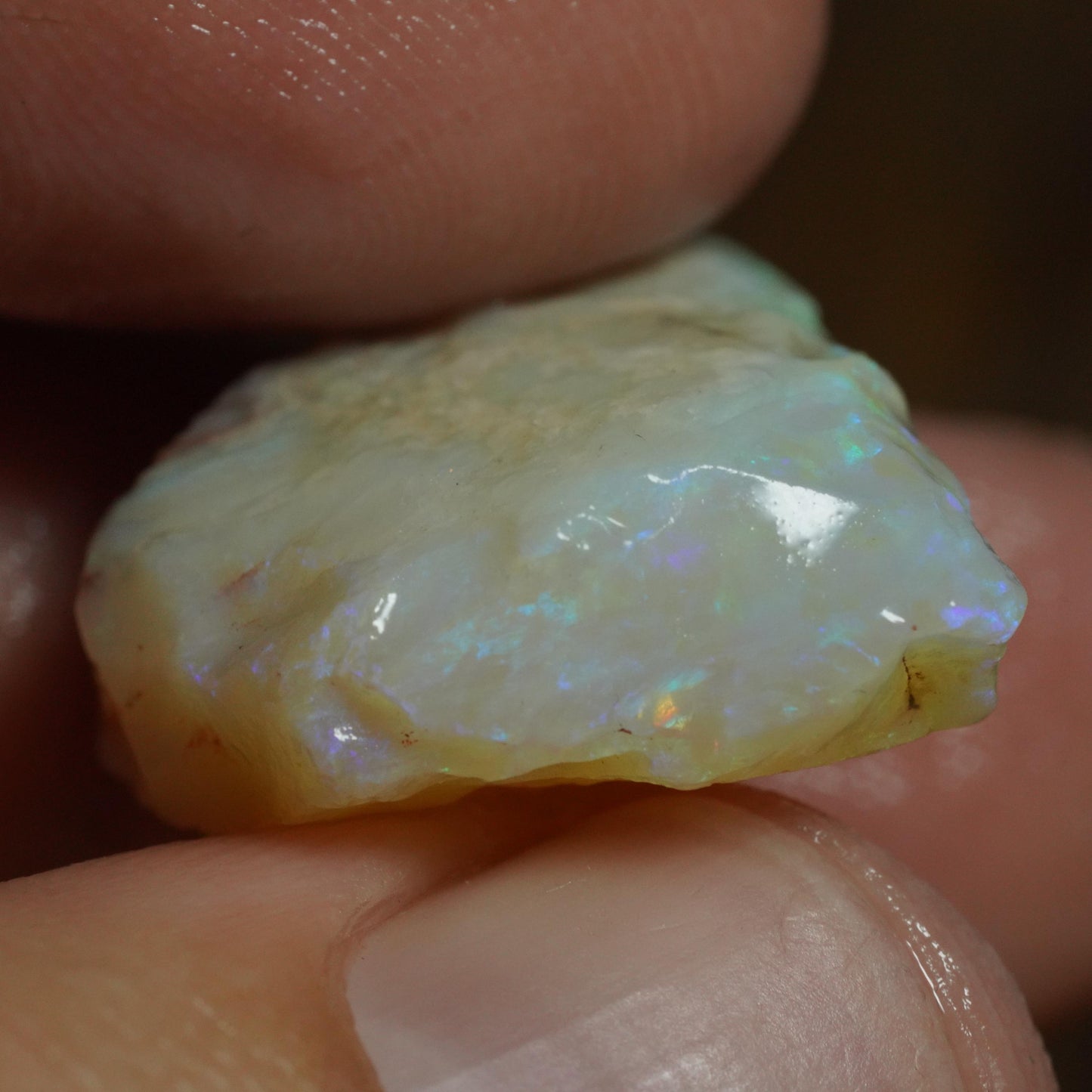 Australian Rough Opal