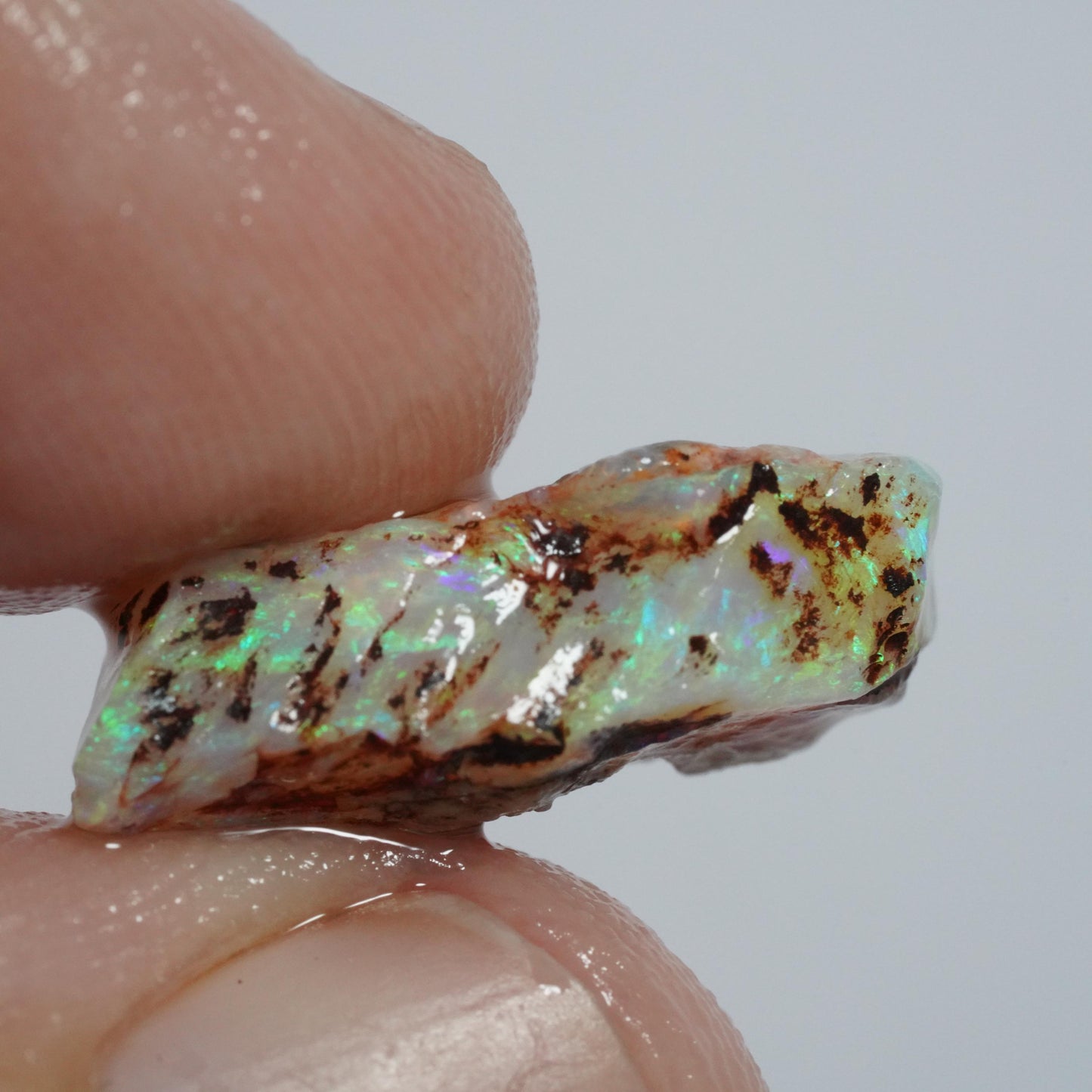 Australian Rough Opal