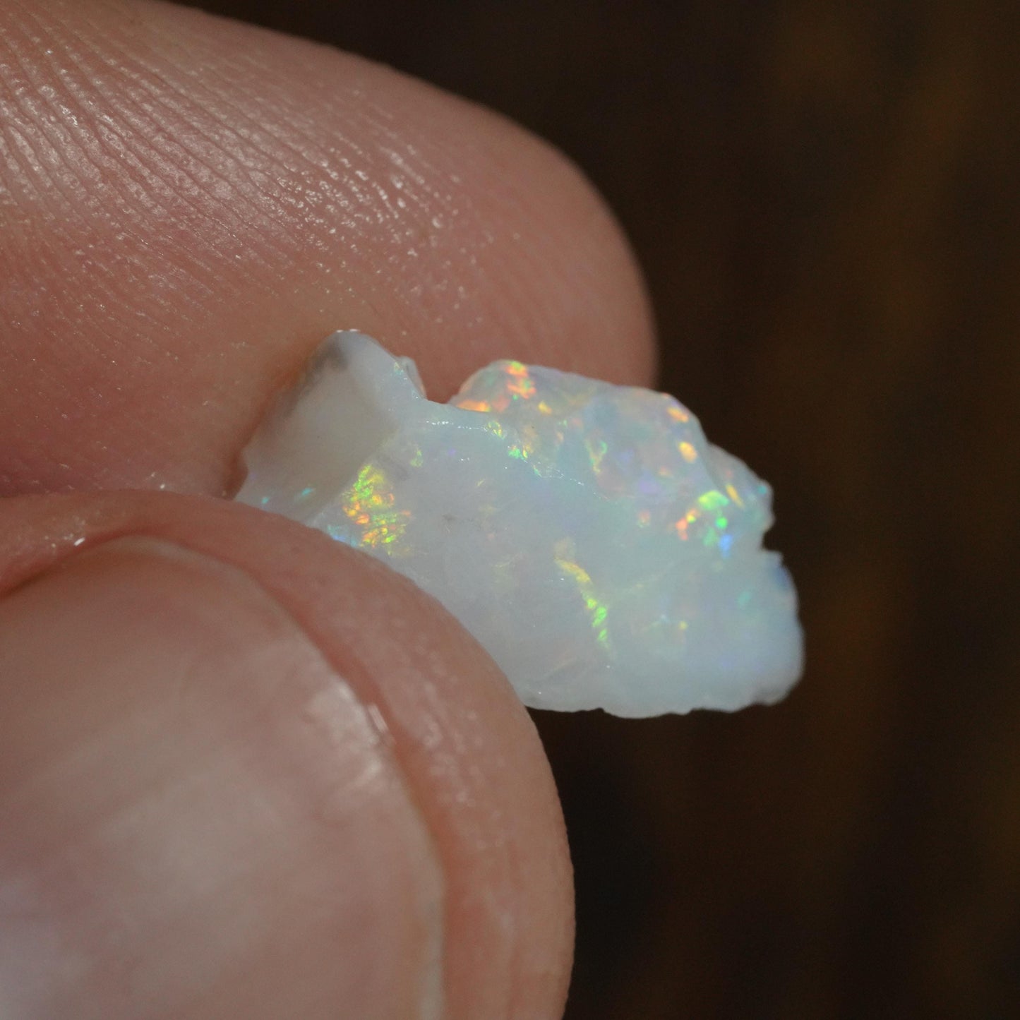 Australian Rough Opal