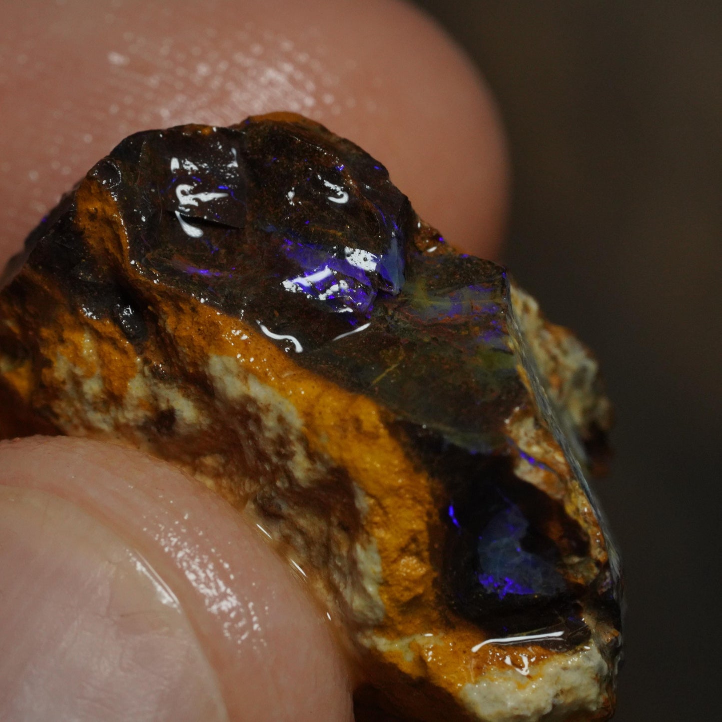 Boulder Opal