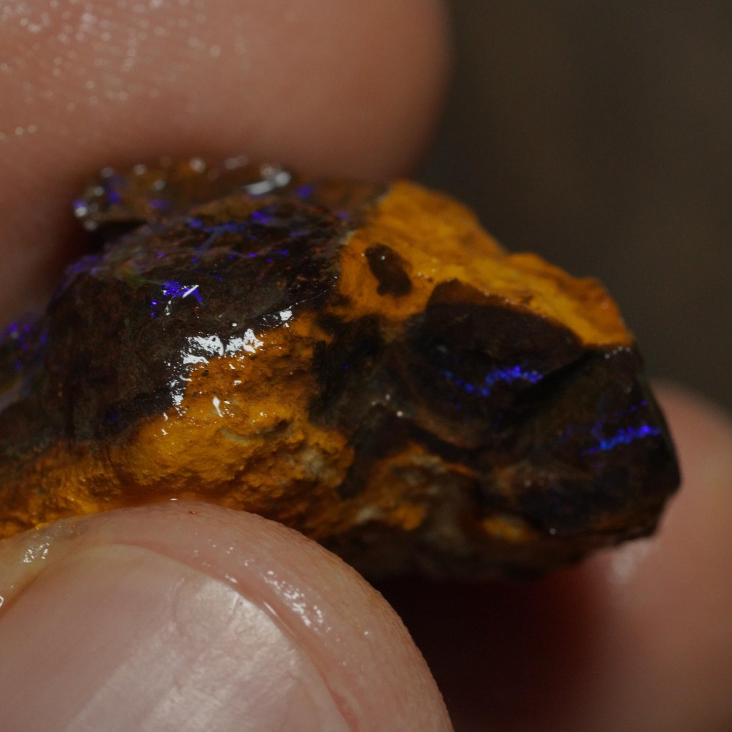 Boulder Opal
