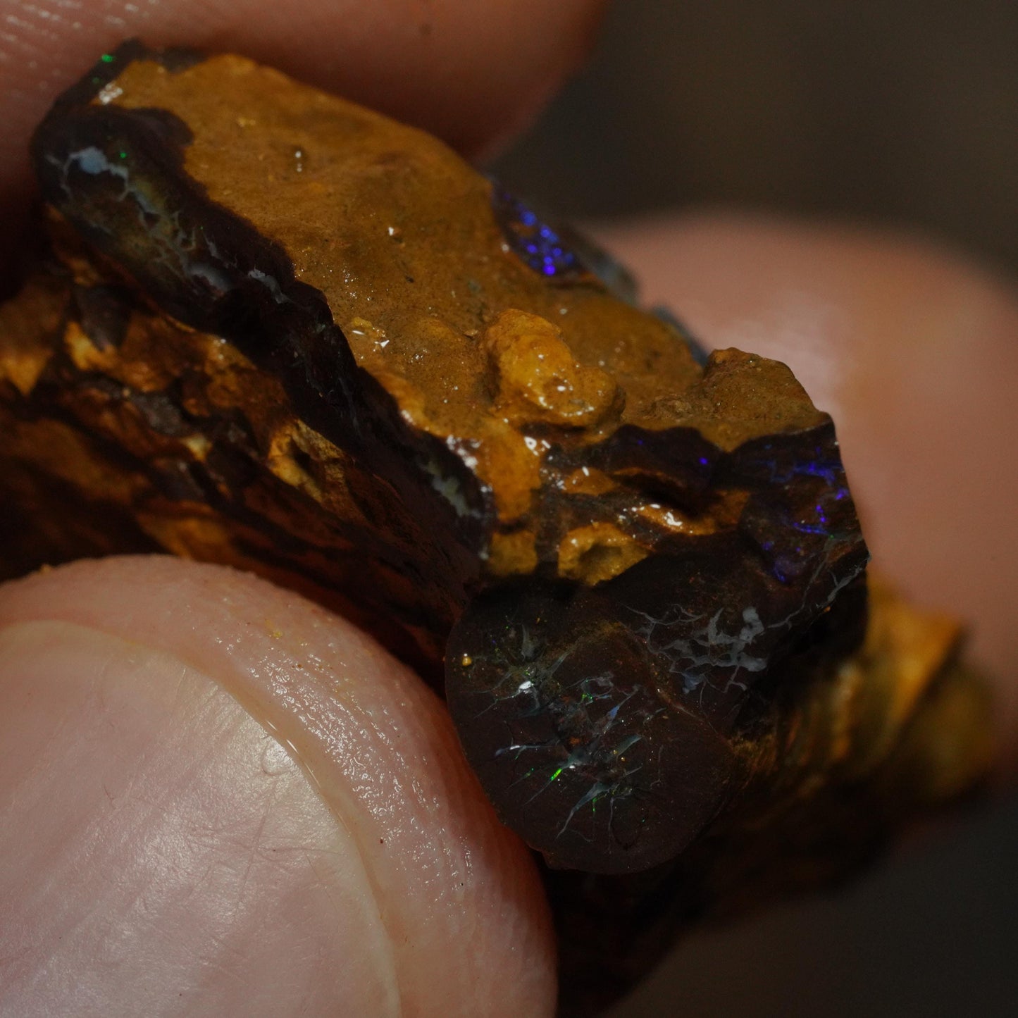Boulder Opal