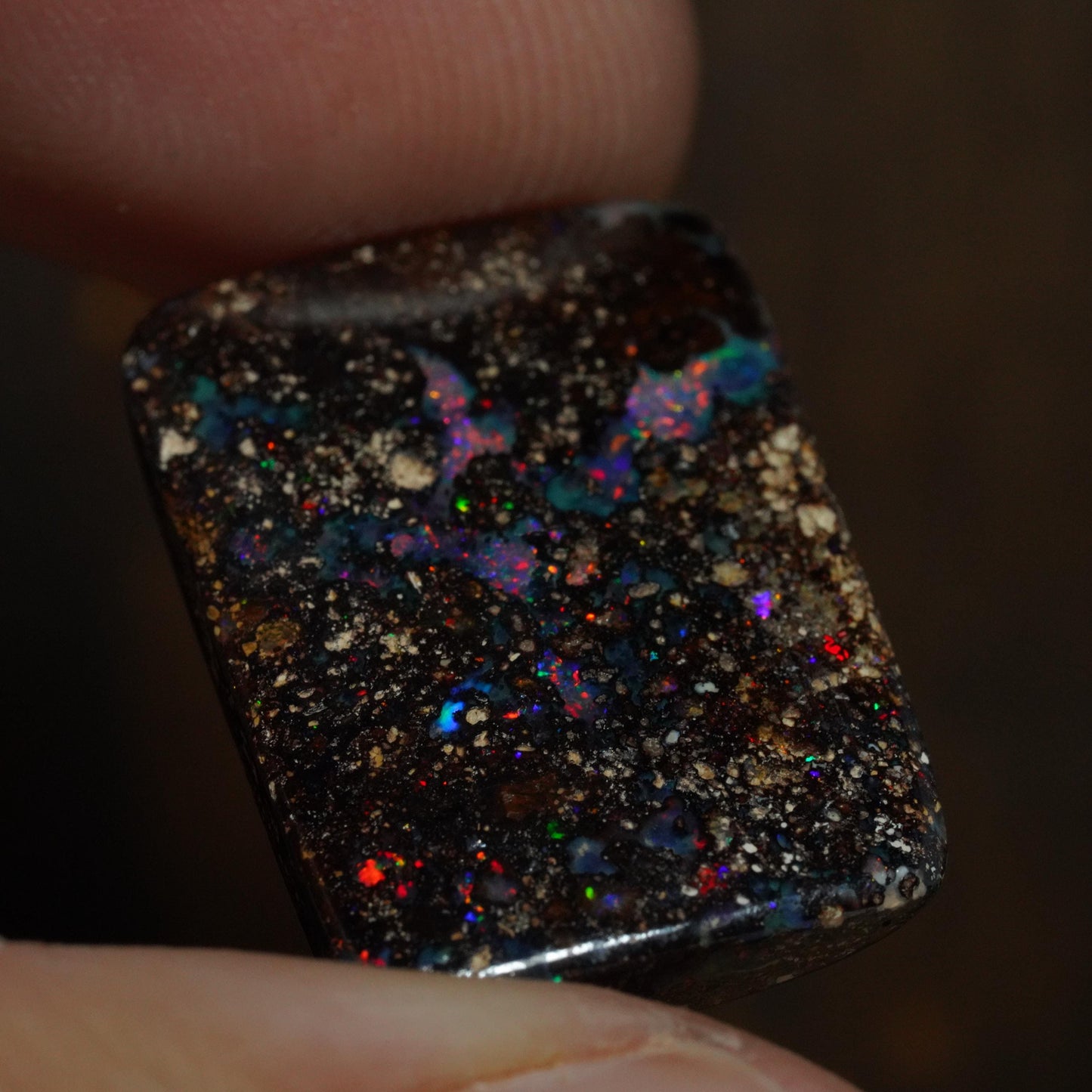 Boulder Opal Cut Stone