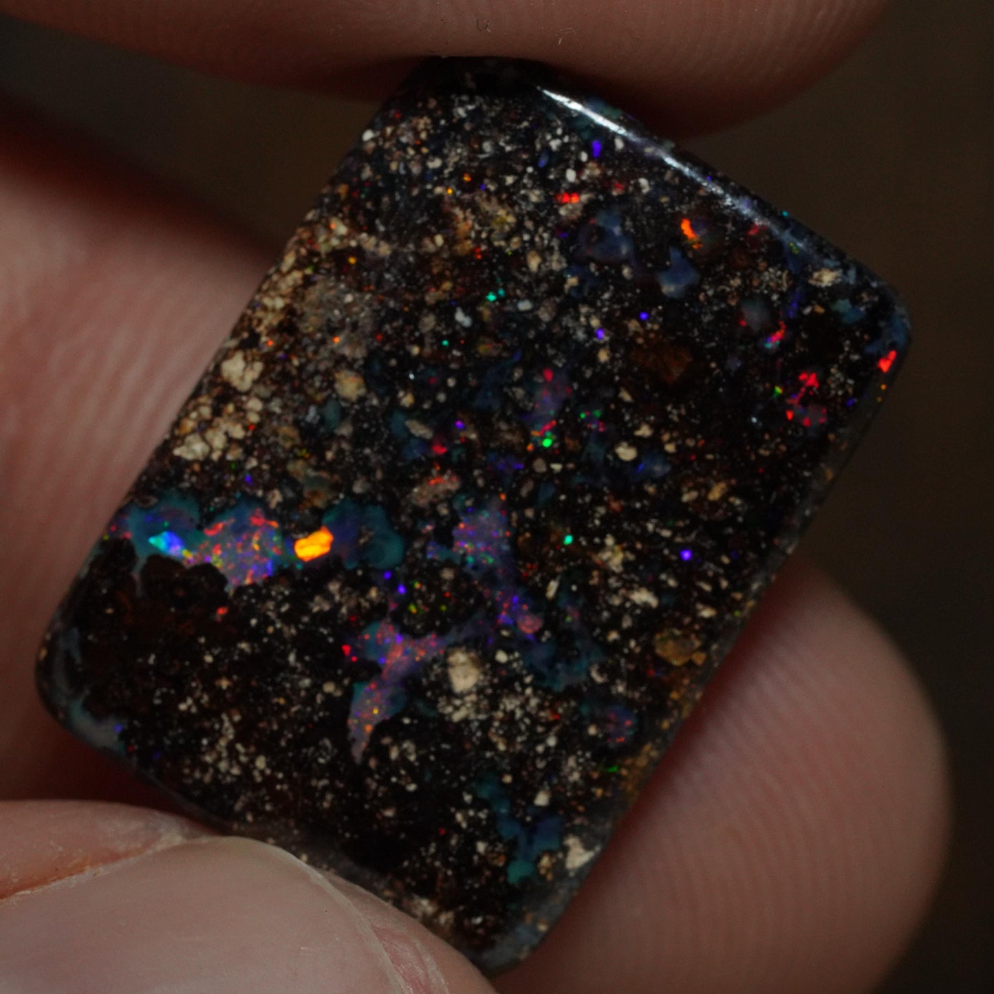 Boulder Opal Cut Stone