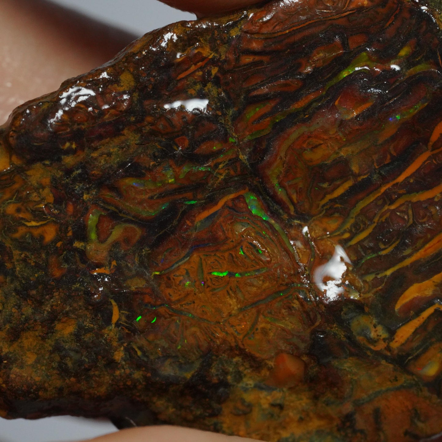Rough Boulder Opal