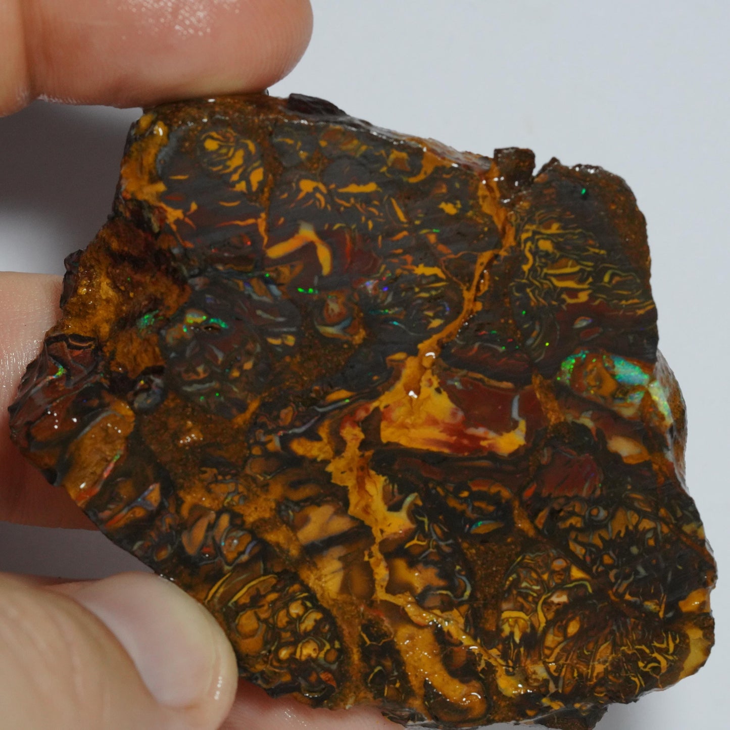 Rough Boulder Opal