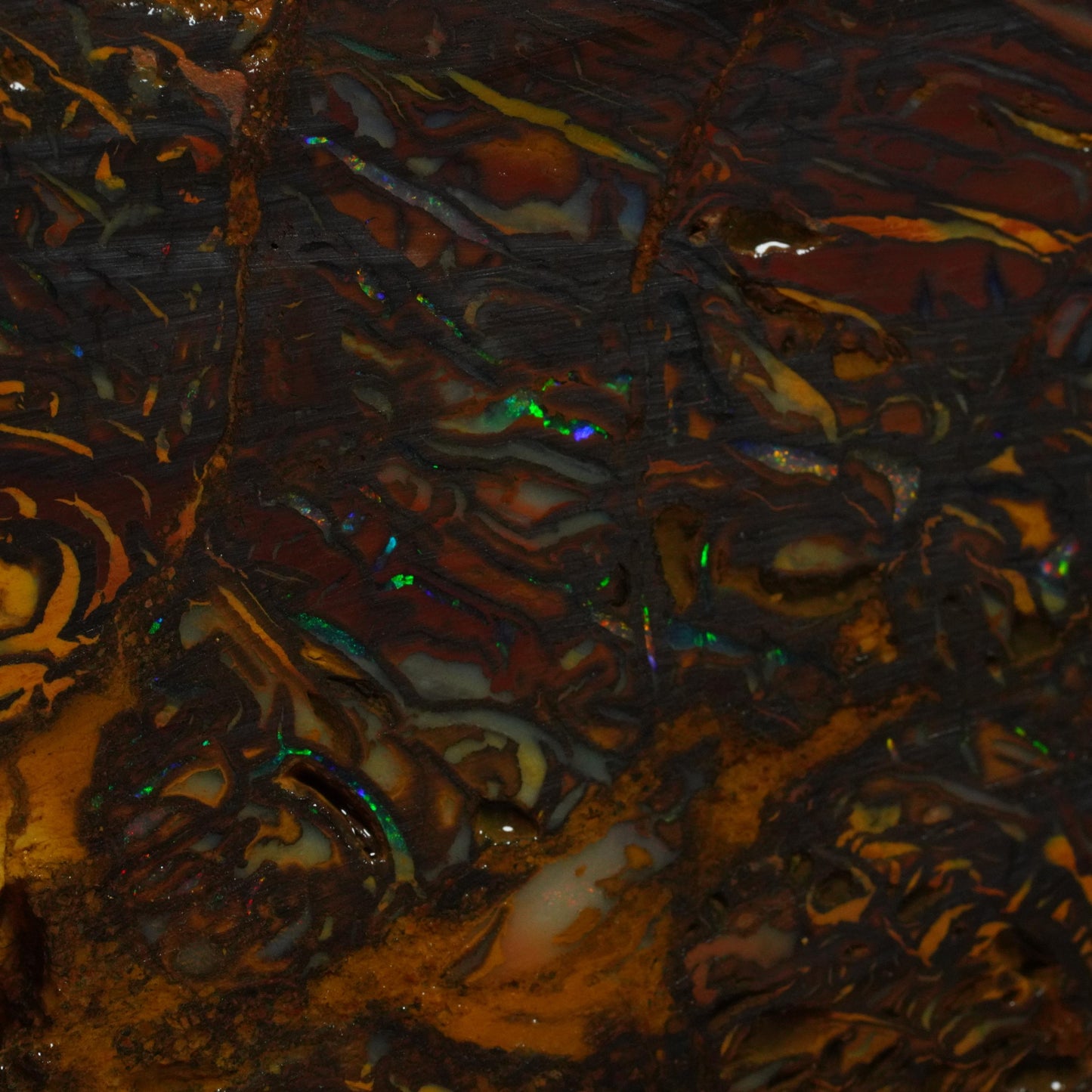 Rough Boulder Opal