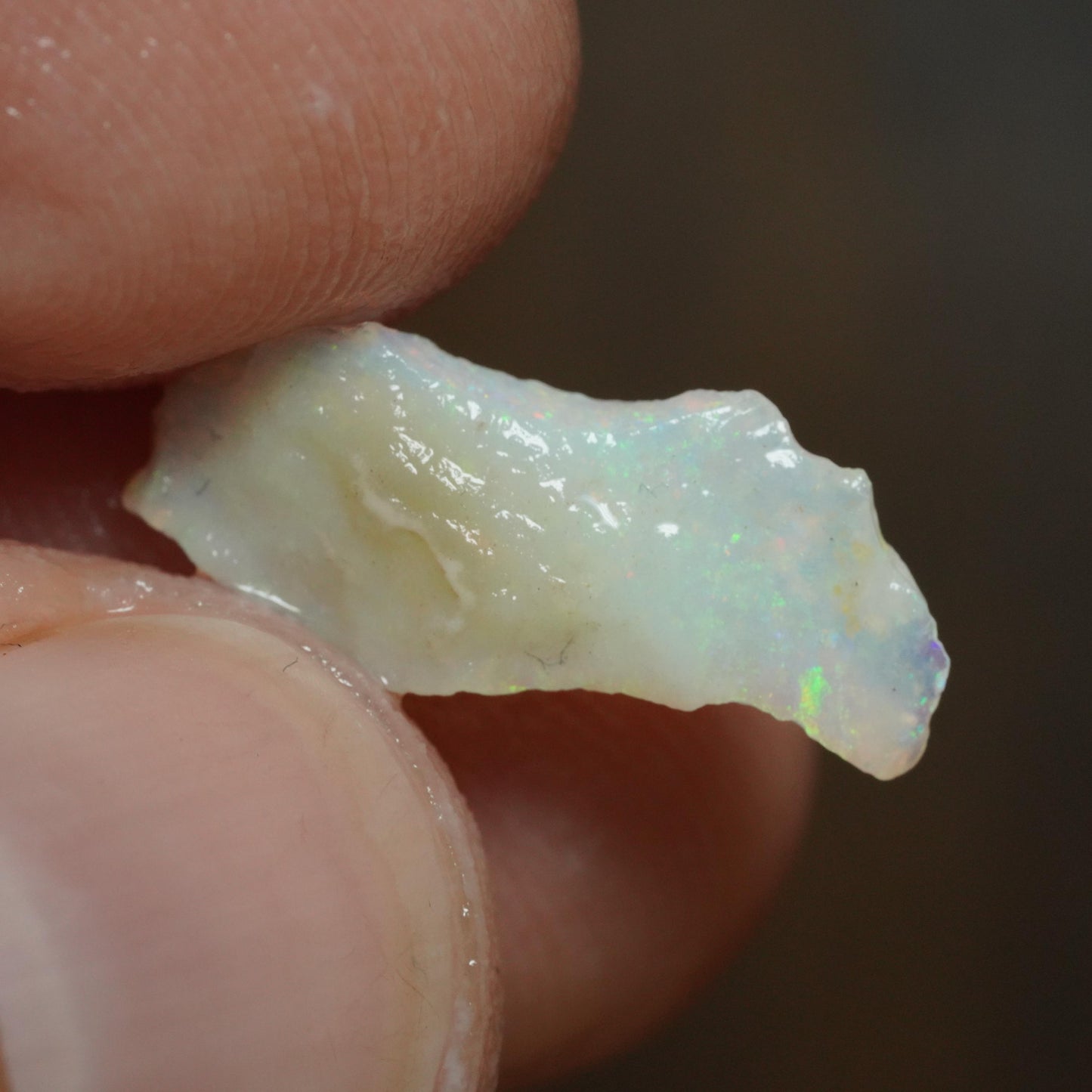 Australian Rough Opal