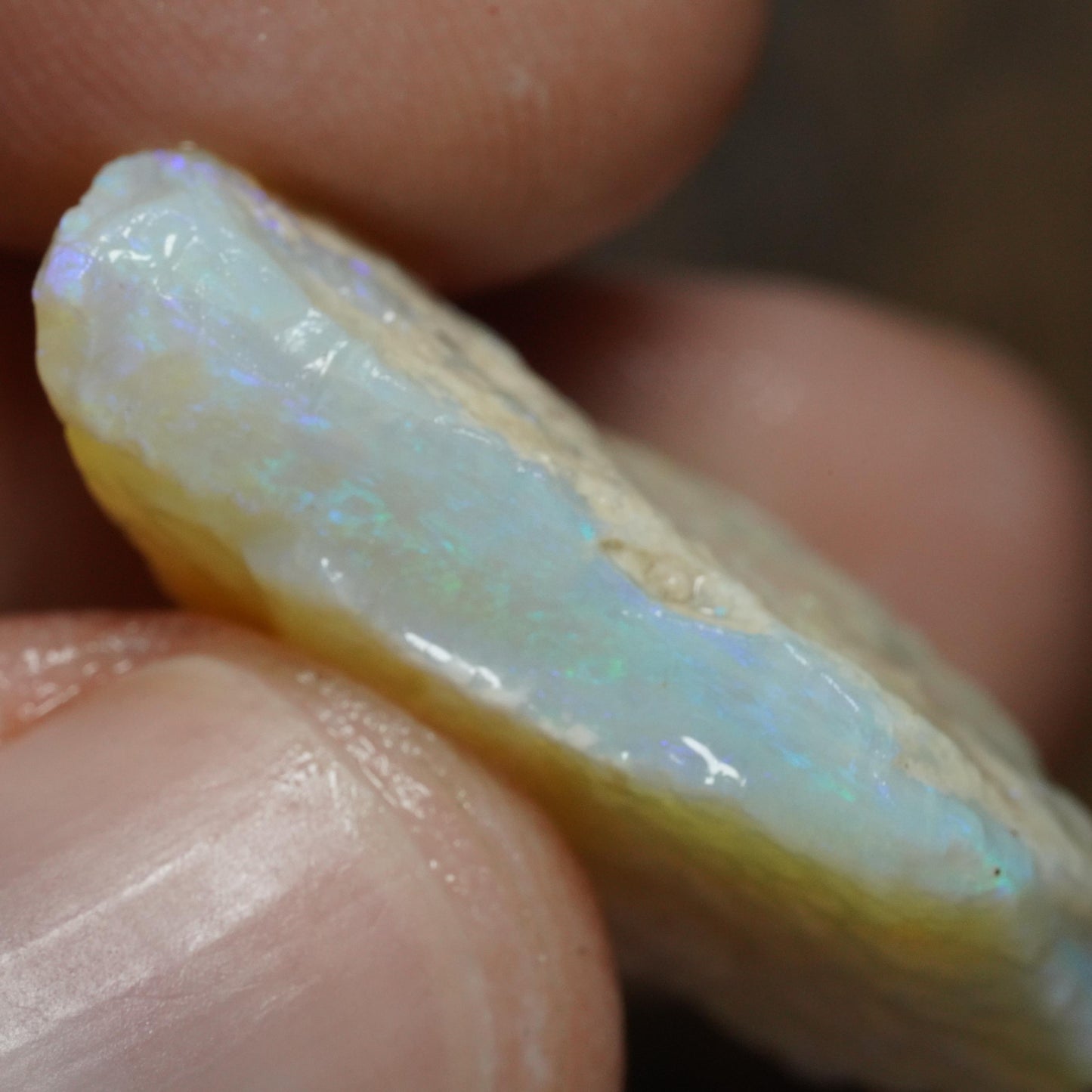 Australian Rough Opal
