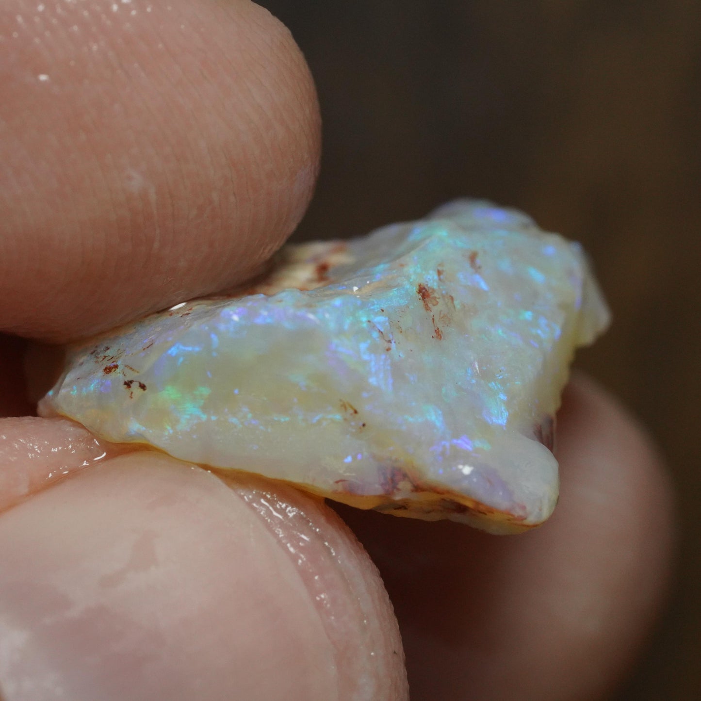 Australian Rough Opal