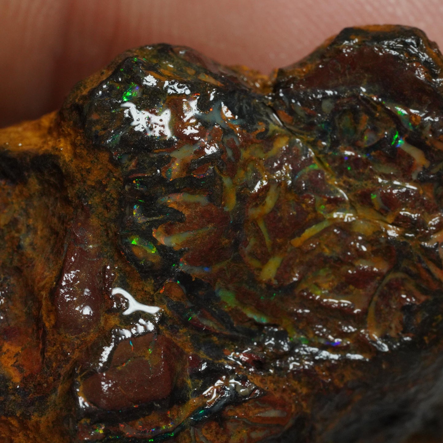Boulder Opal
