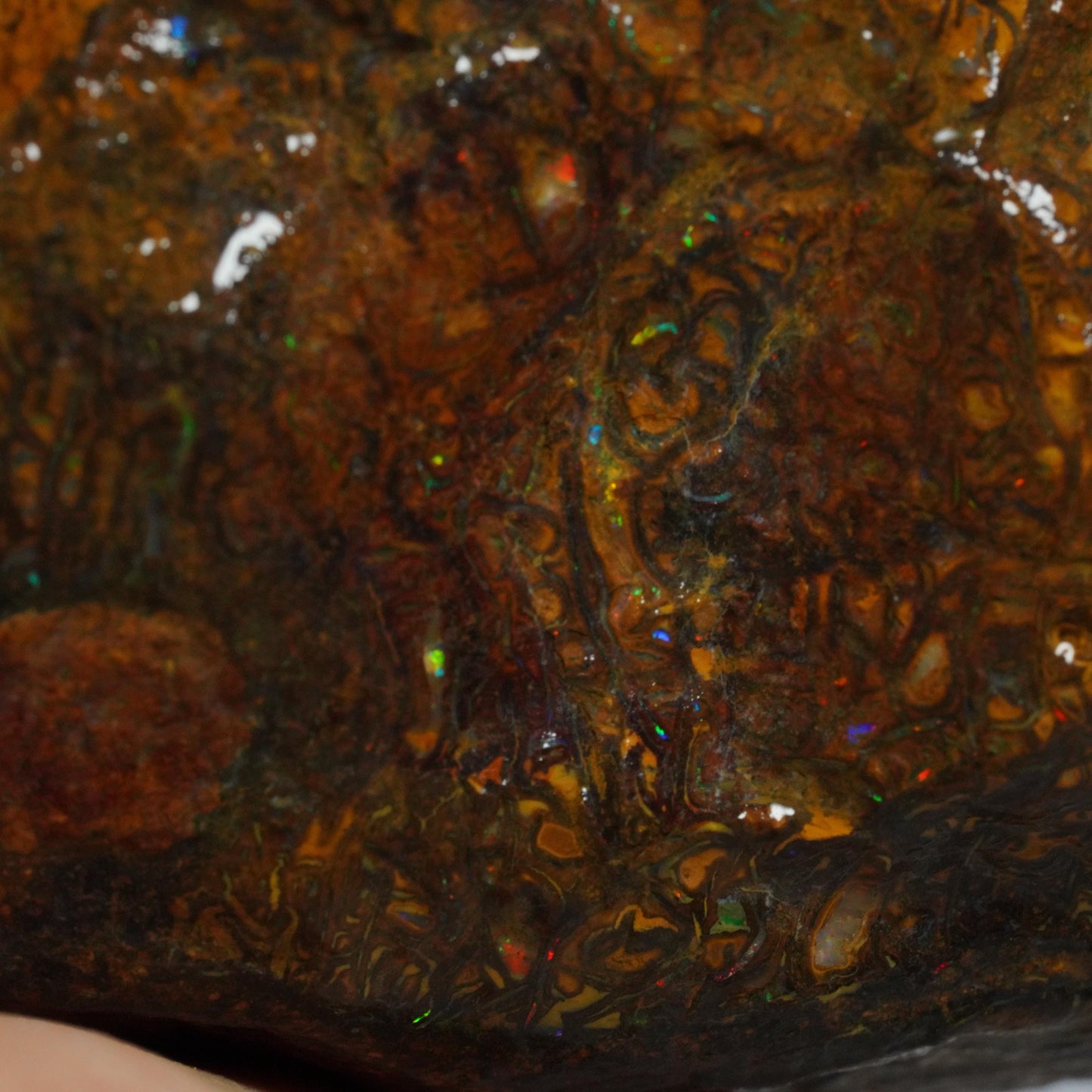 Boulder Opal