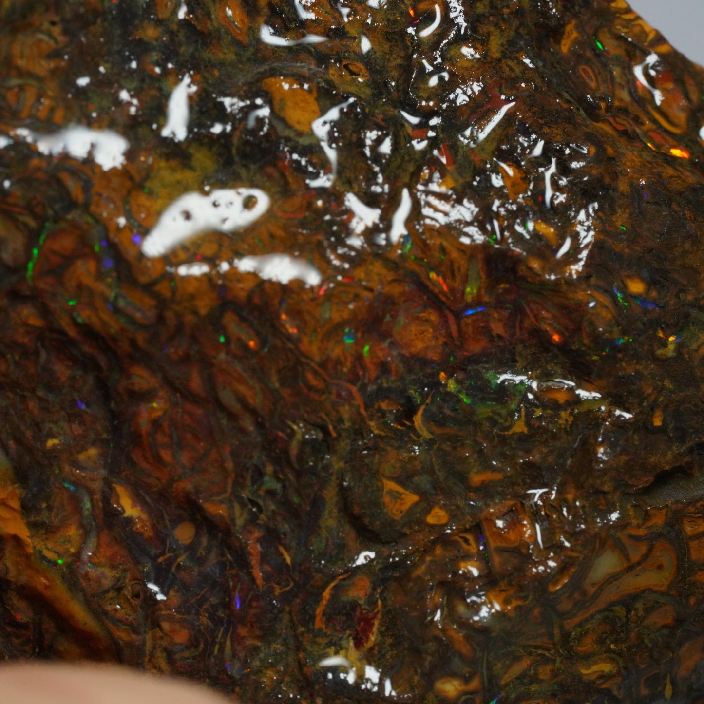 Boulder Opal