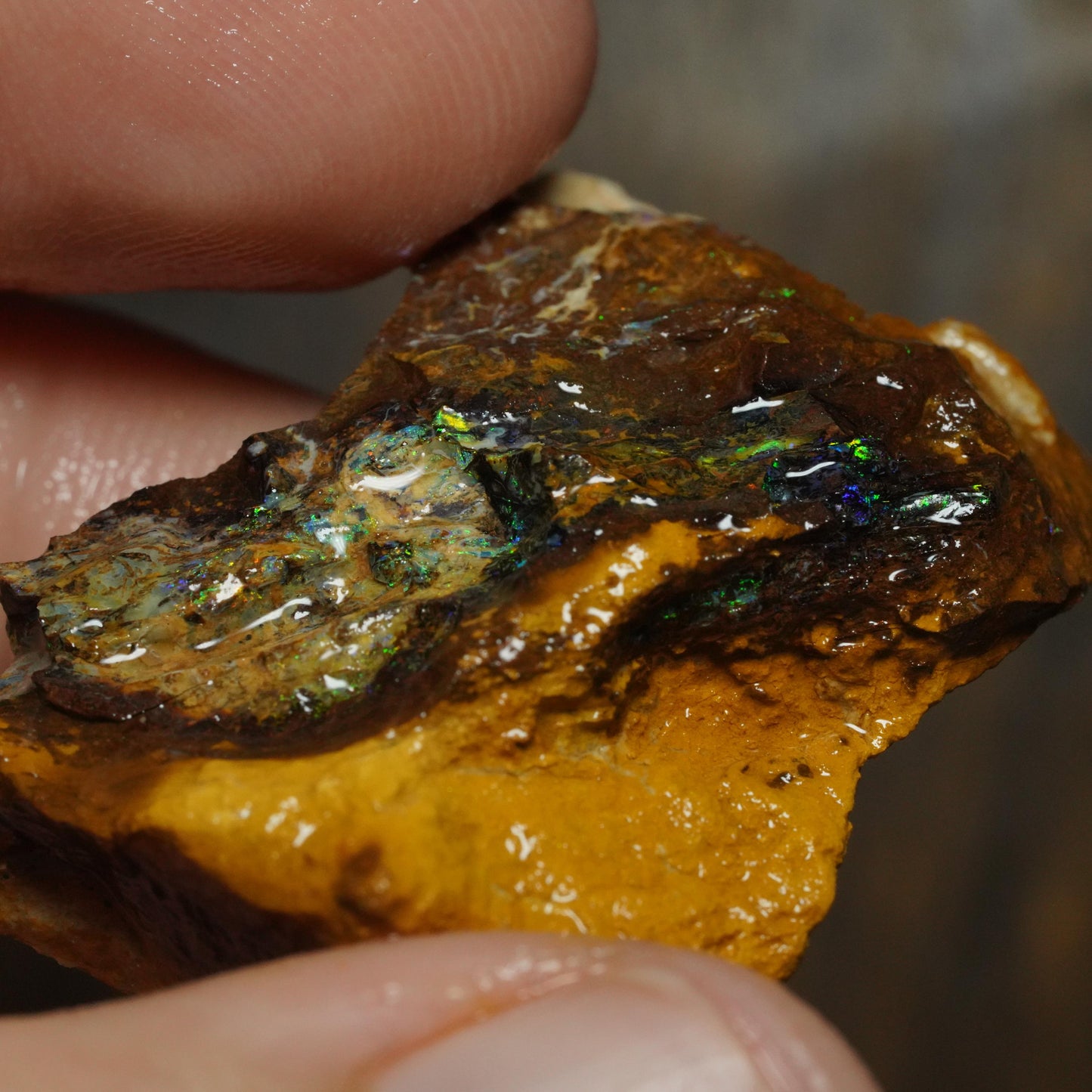 Boulder Opal