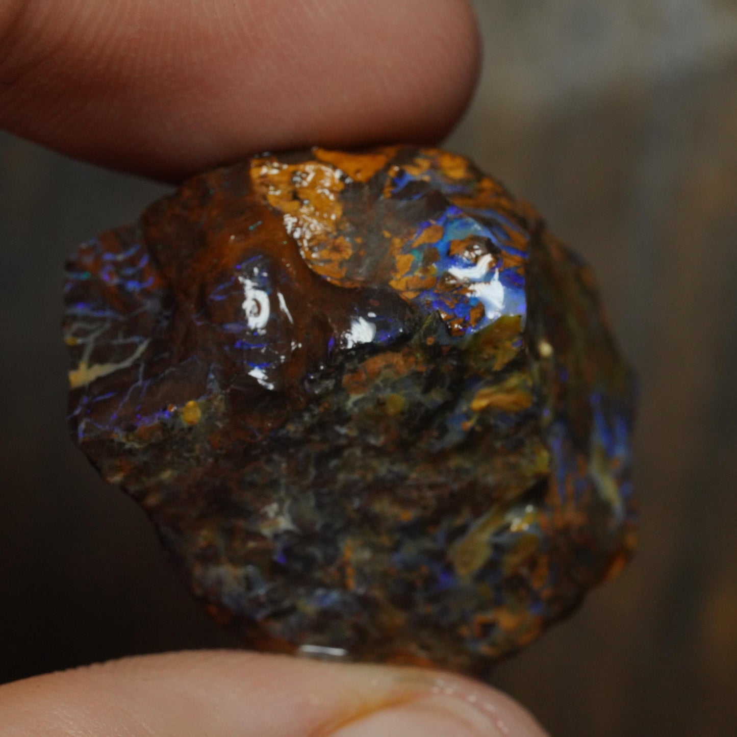 Boulder Opal