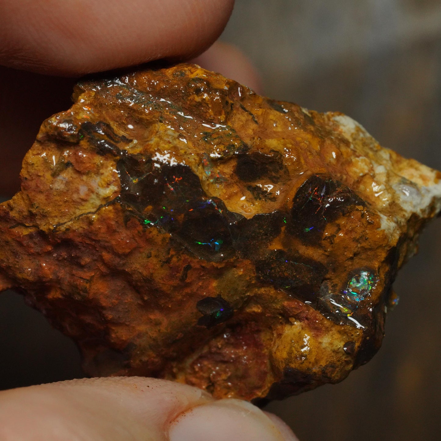 Boulder Opal