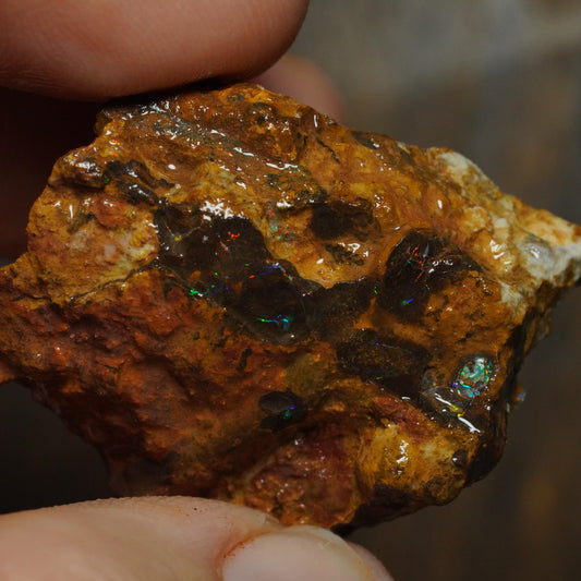 Boulder Opal