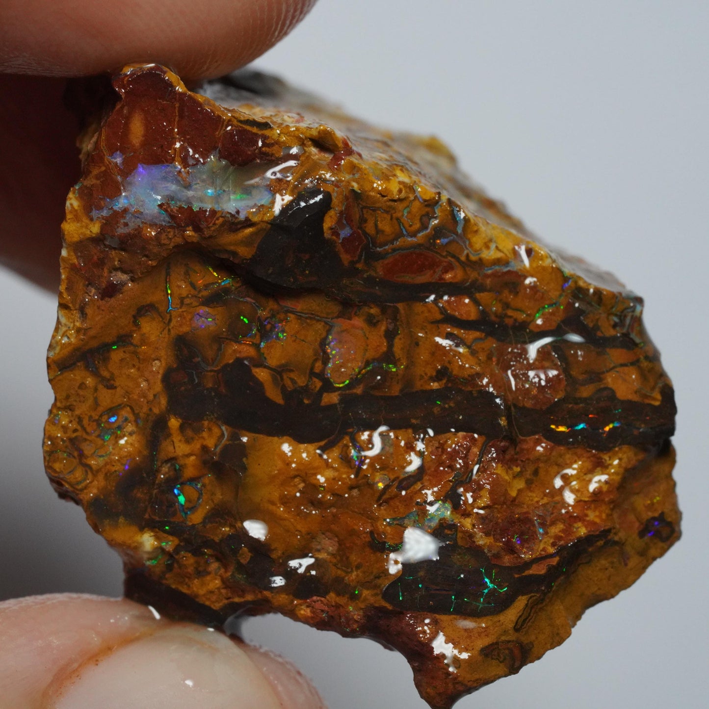 Boulder Opal